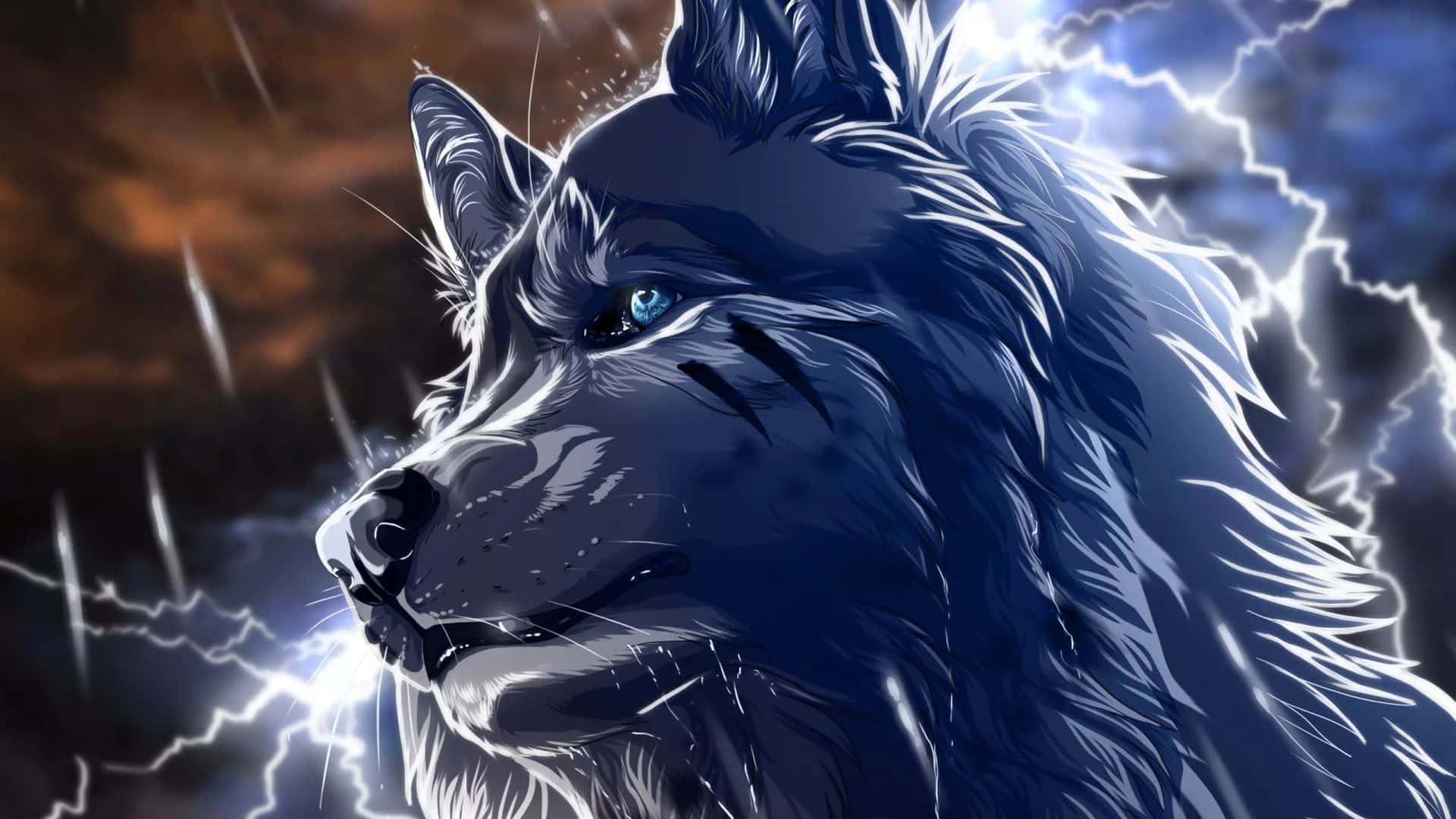 Isang malamig na lobo na may tiwala sa sariling pagtingin sa gabi Wallpaper