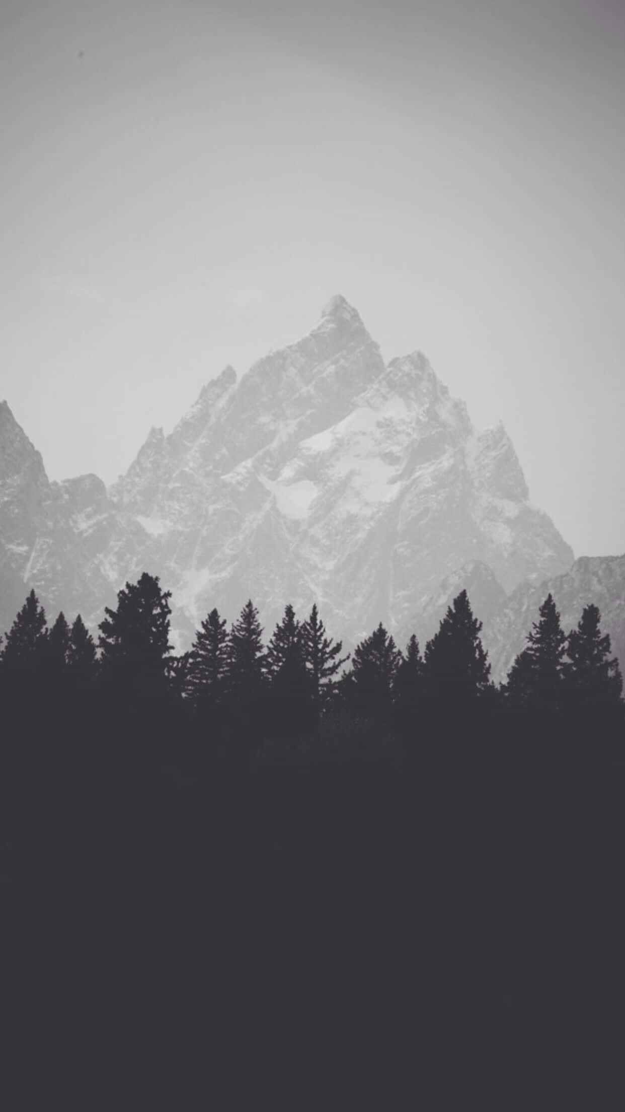 Isang malapít na larawan ng iPhone 7 Plus. Wallpaper