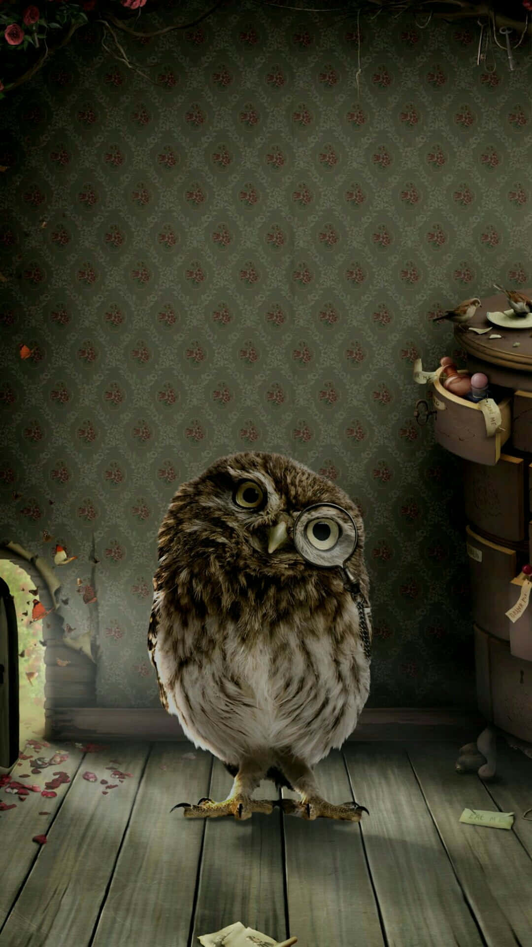 Isang maliit at nakatutuwang kuwago na dumapo sa sanga Wallpaper