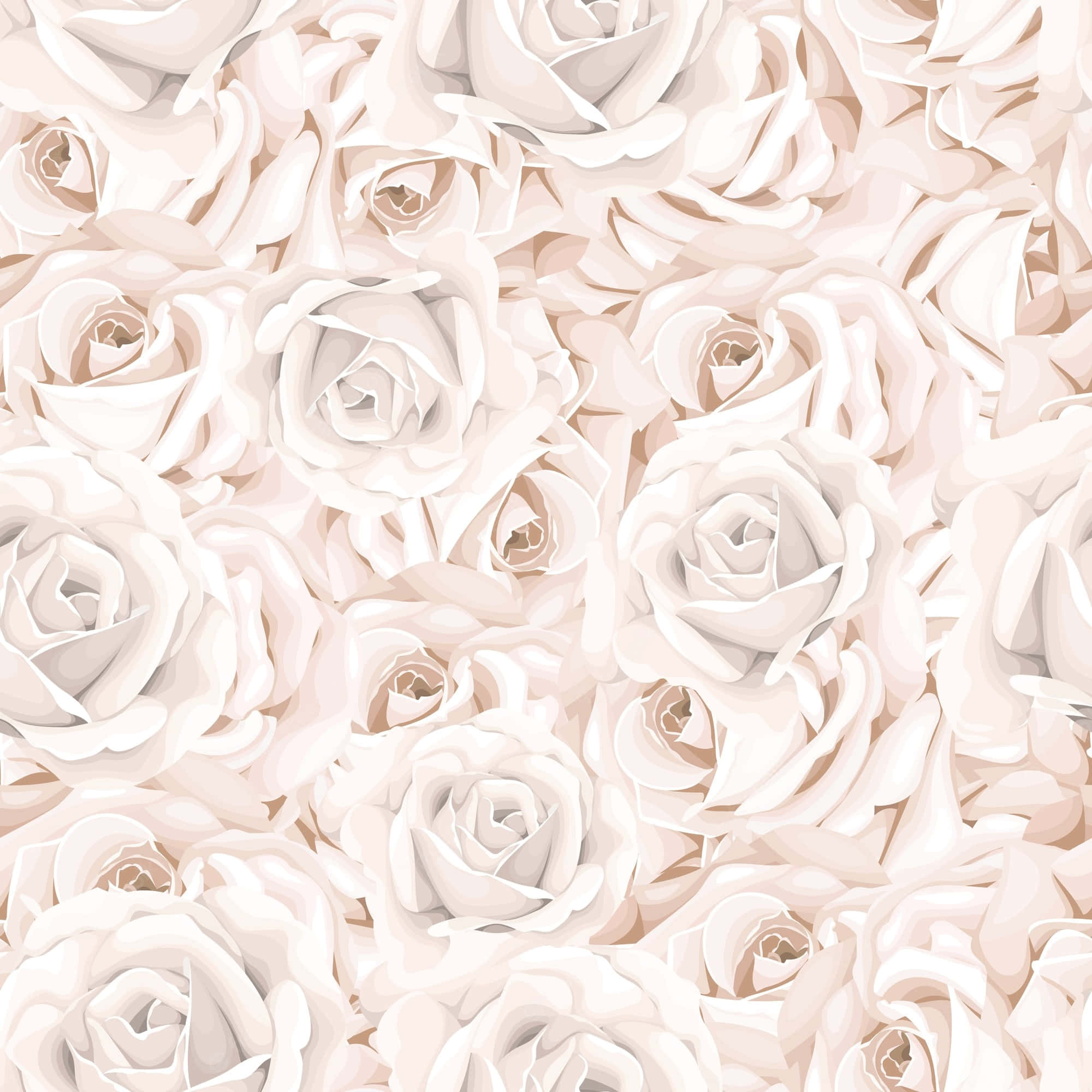 Isang mapayapa na puting rosas na ganap na namumulaklak Wallpaper