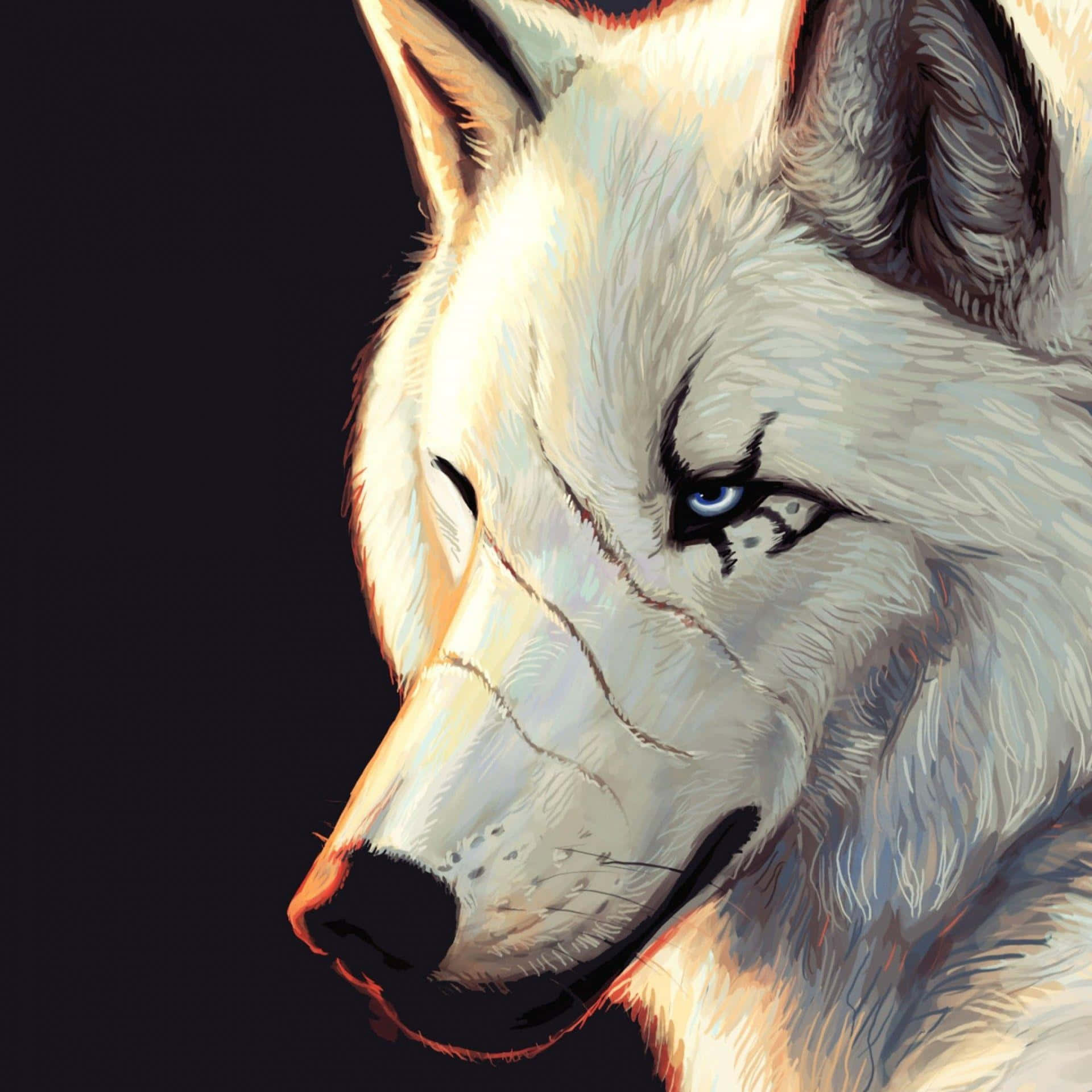 Isang Maringal na Lobo na Naglalakad sa Niyebe Wallpaper