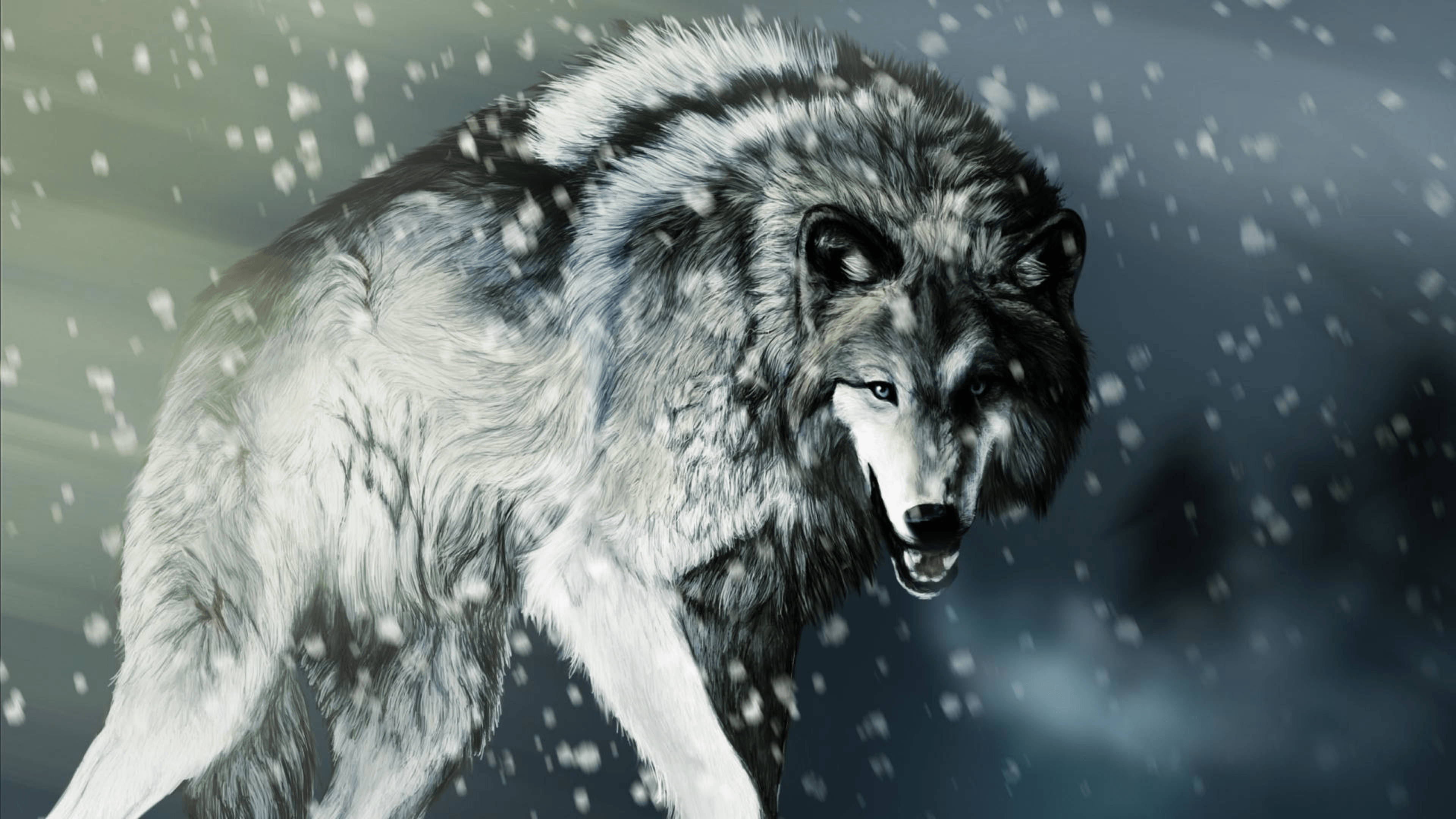 Isang maringal na lobo na nasa gitna ng winter wonderland Wallpaper
