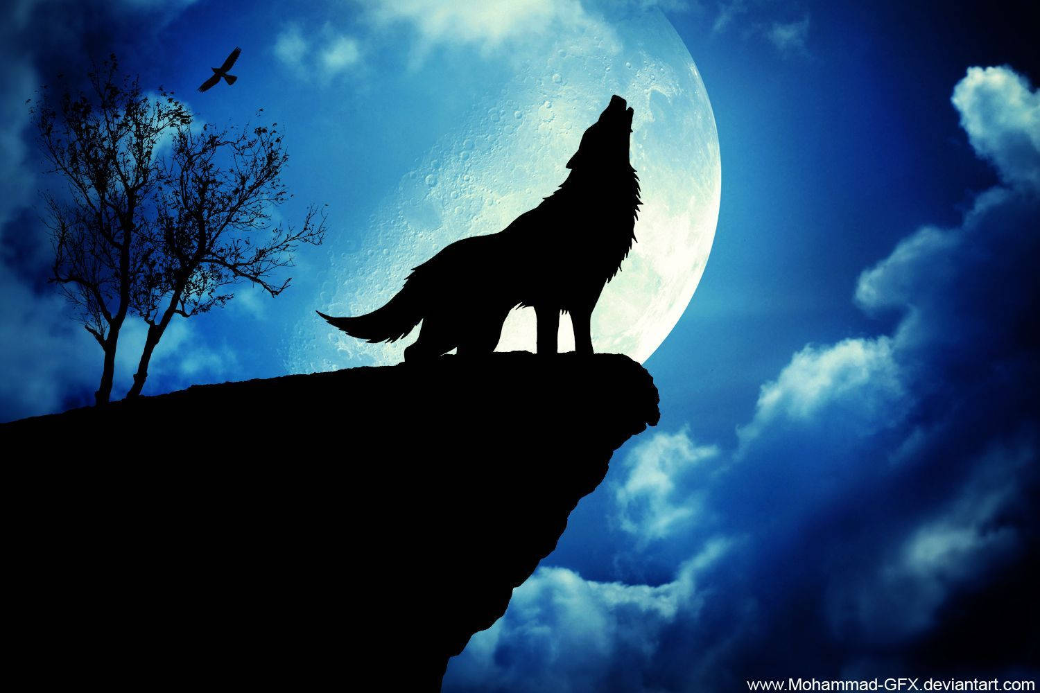 Isang maringal na lobo na umaalulong sa madilim na kalangitan ng gabi Wallpaper