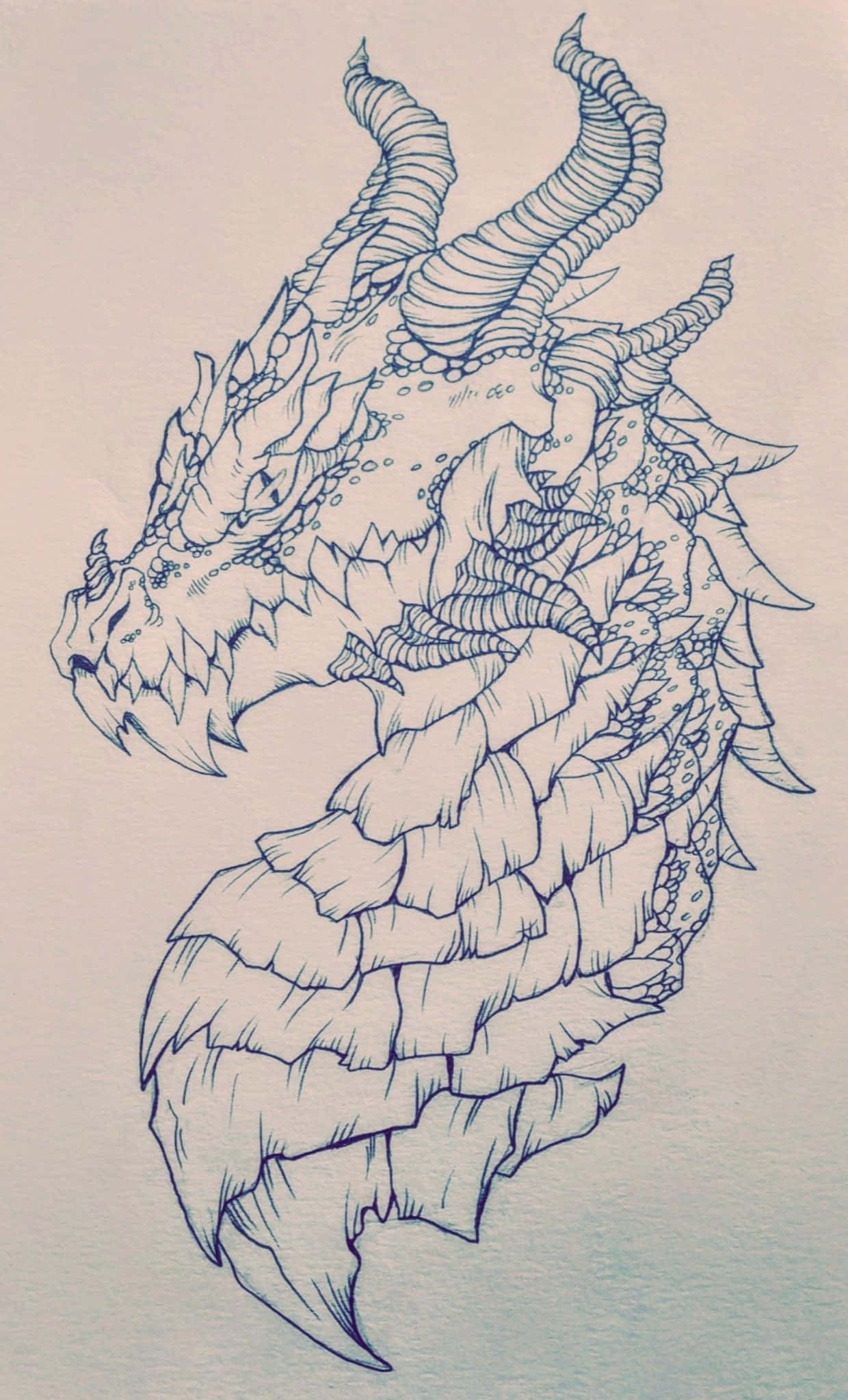 Isang maringal na perfil ng dragon. Wallpaper