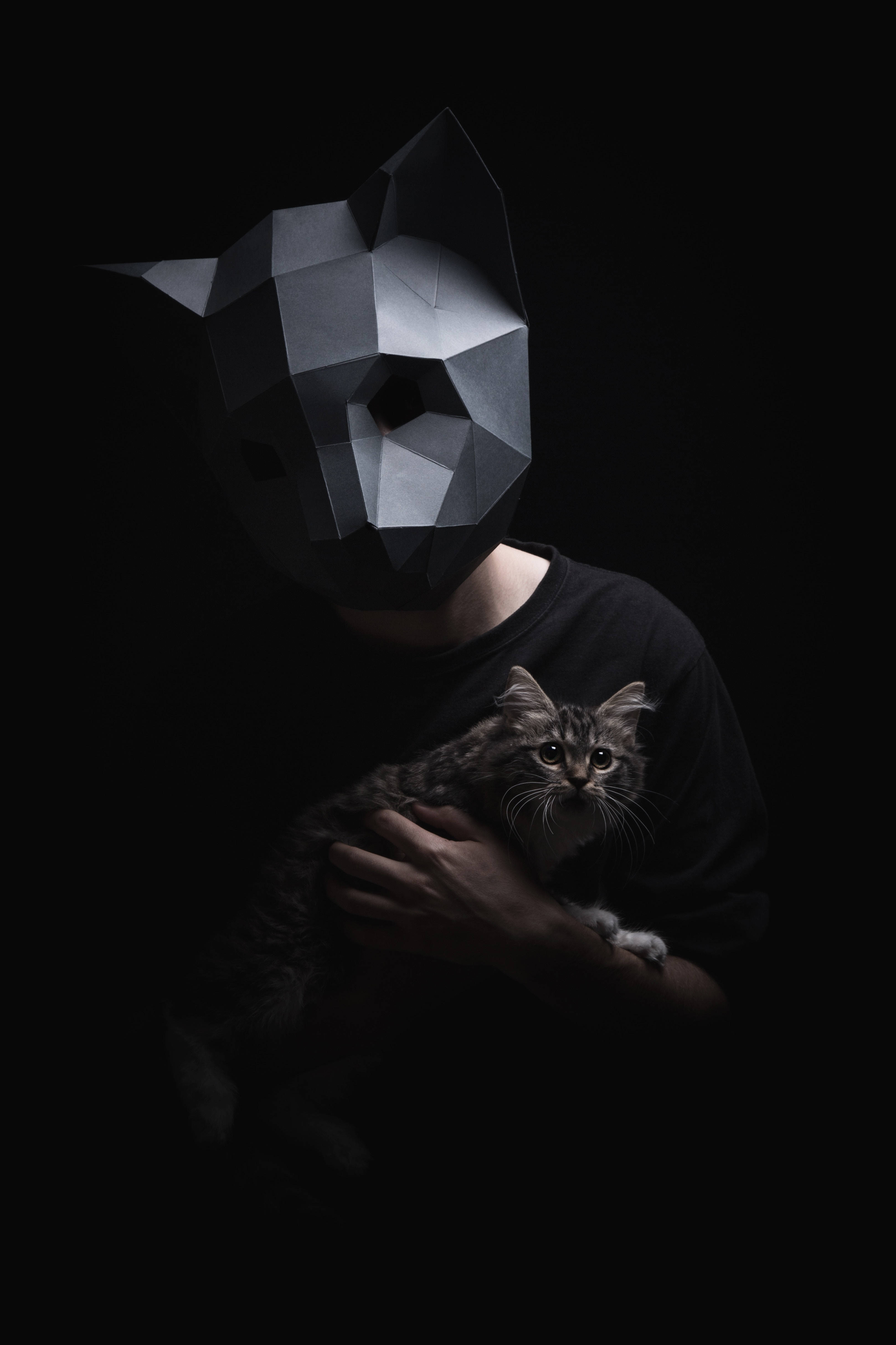 Isang masaya at kakaibang 3D low-poly na maskara ng pusa Wallpaper
