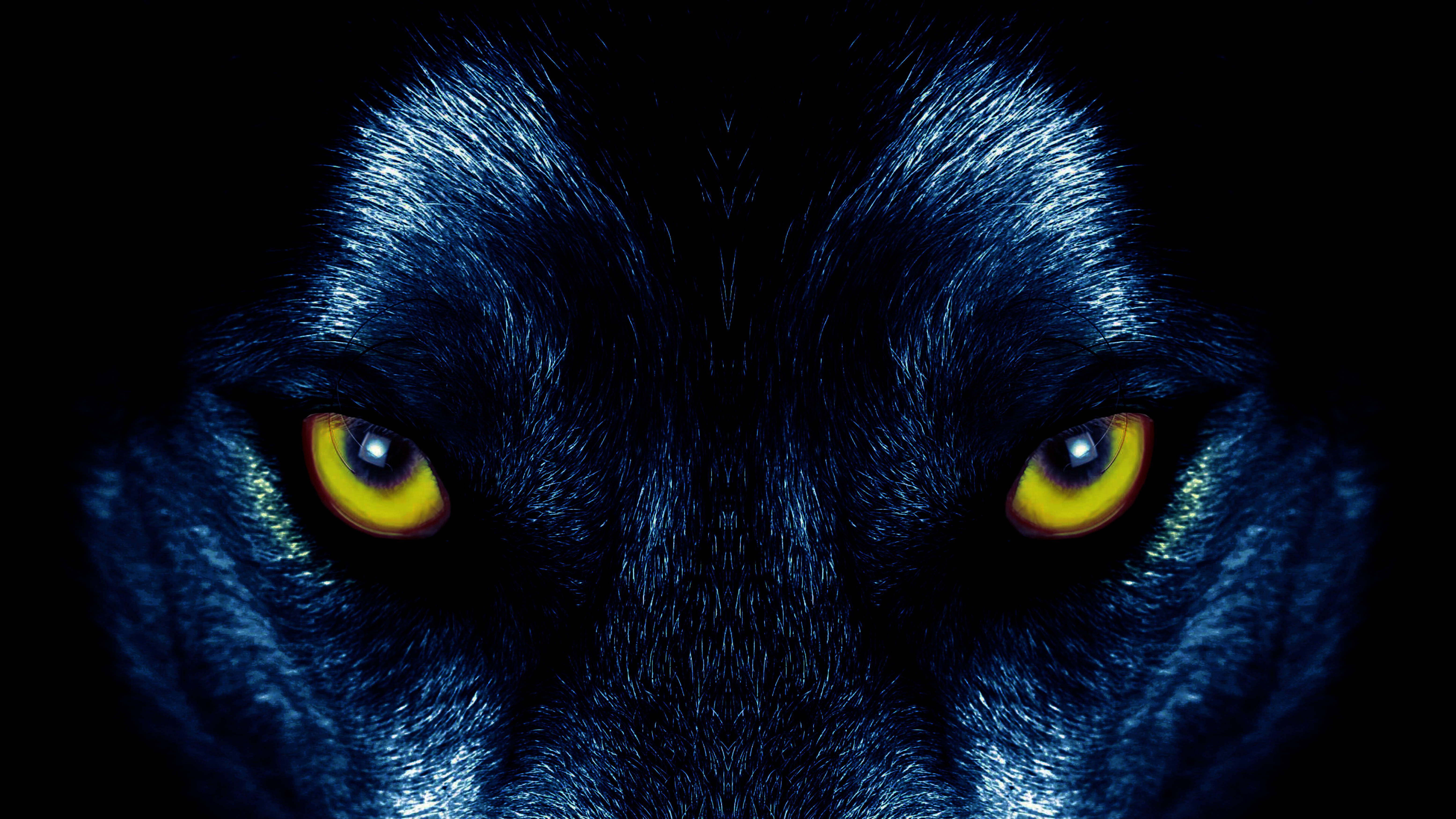 Isang matalim na tingin ng isang dilaw na lobo Wallpaper
