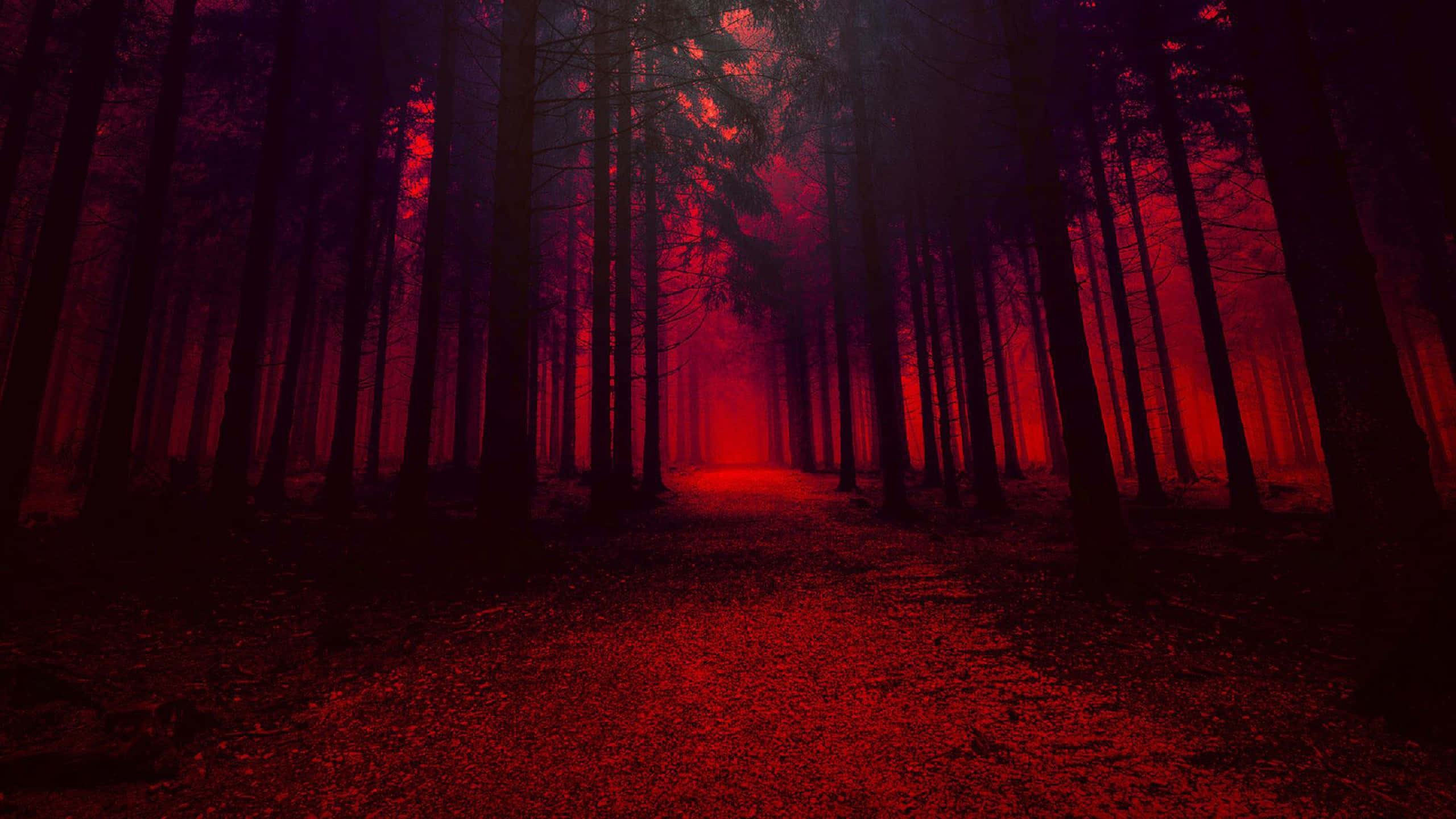 Isang matapang at magandang pulang aesthetic Wallpaper
