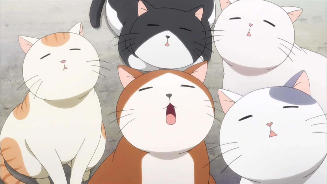 Isang mausis na anime na pusa na nag-e-explore sa mundo Wallpaper
