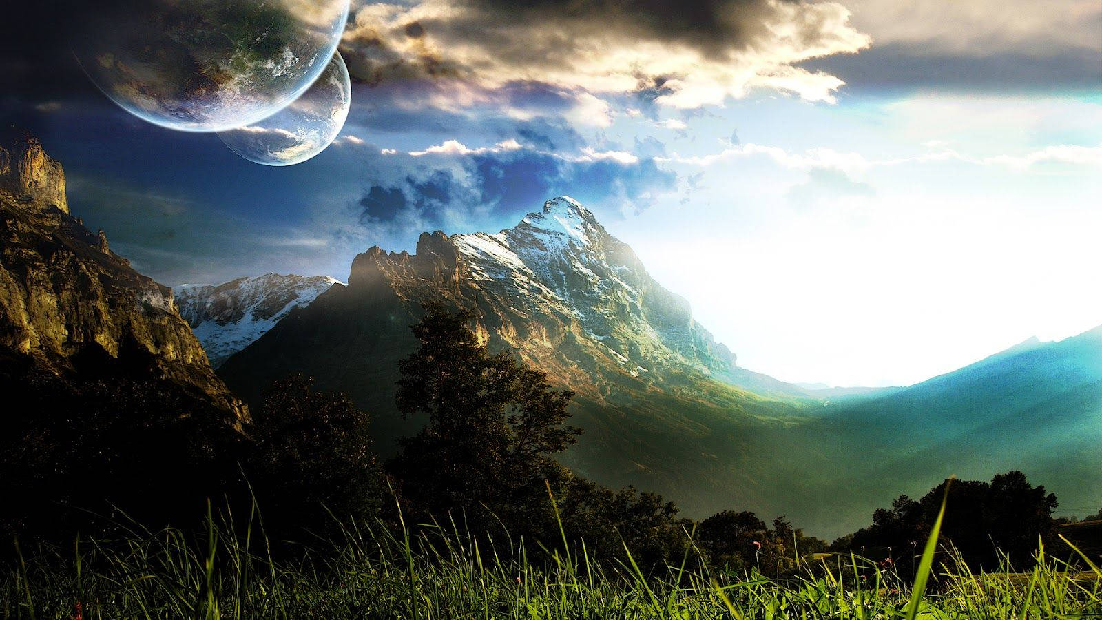 Isang misteryosong maulap na gubat sa isang maulap na umaga. Wallpaper
