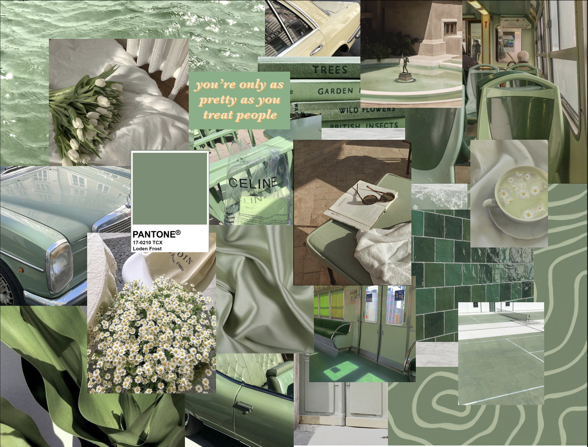 Isang nakakapagpayapang sage green aesthetic background na nagdudulot ng katahimikan at balanse sa iyong espasyo Wallpaper
