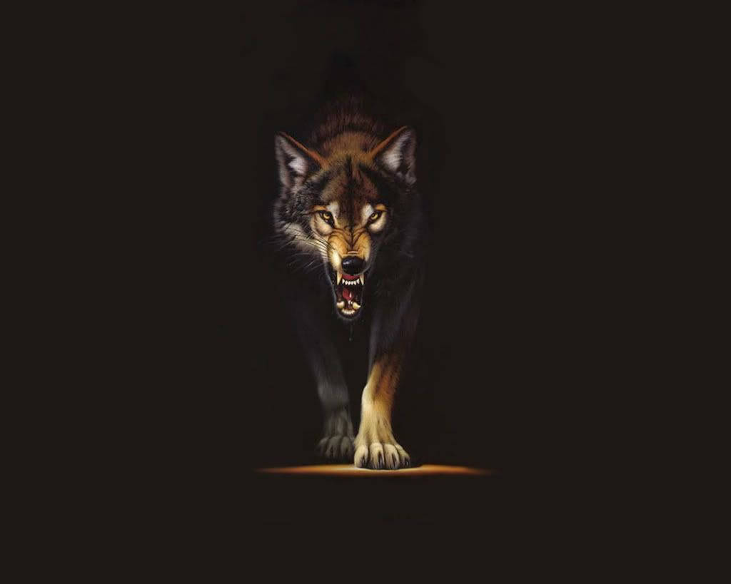 Isang Nakakatakot na Kayumangging Lobo Wallpaper
