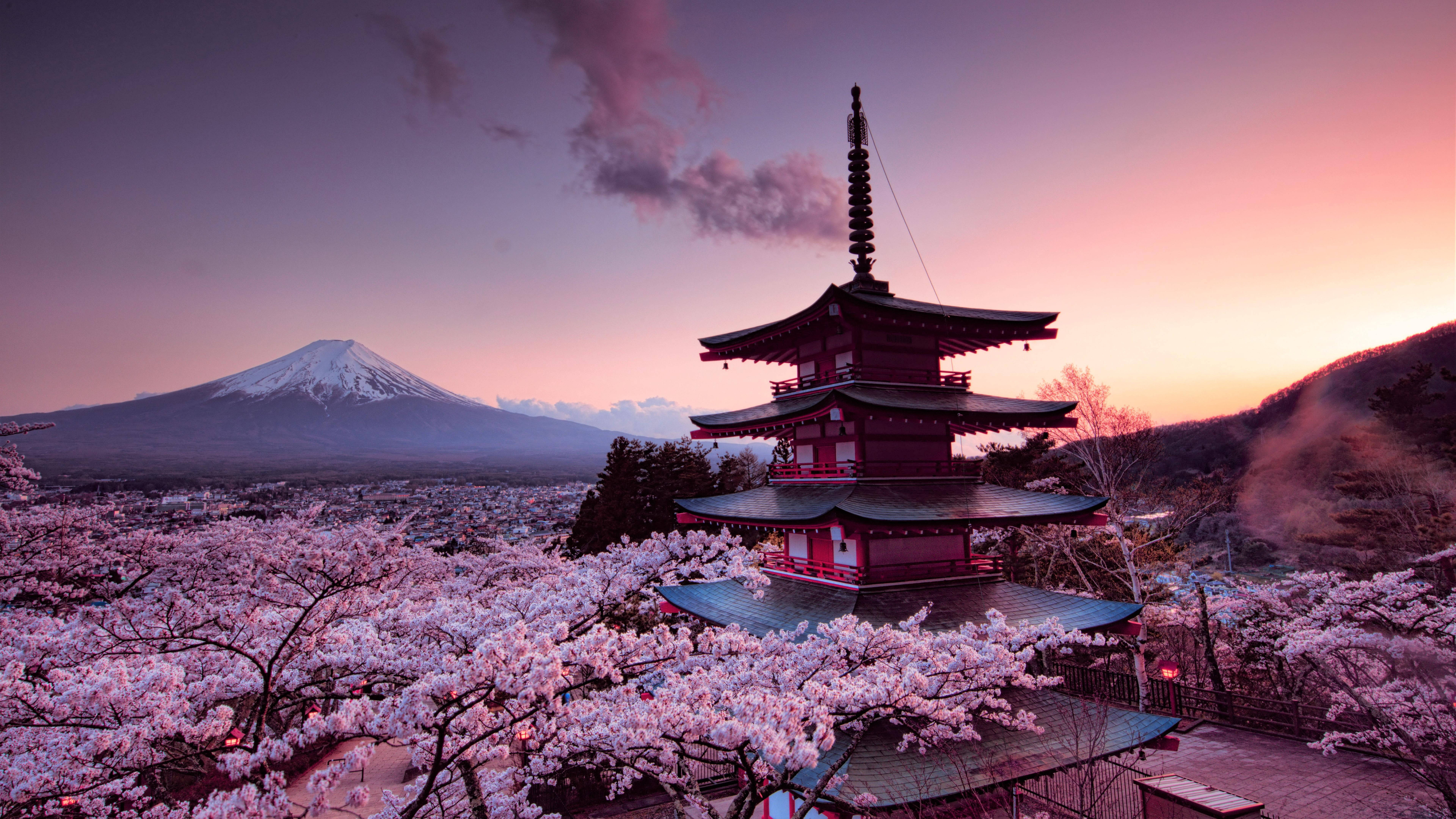 Isang nakamamanghang tanawin ng isang Japanese cherry blossom na ganap na namumulaklak Wallpaper