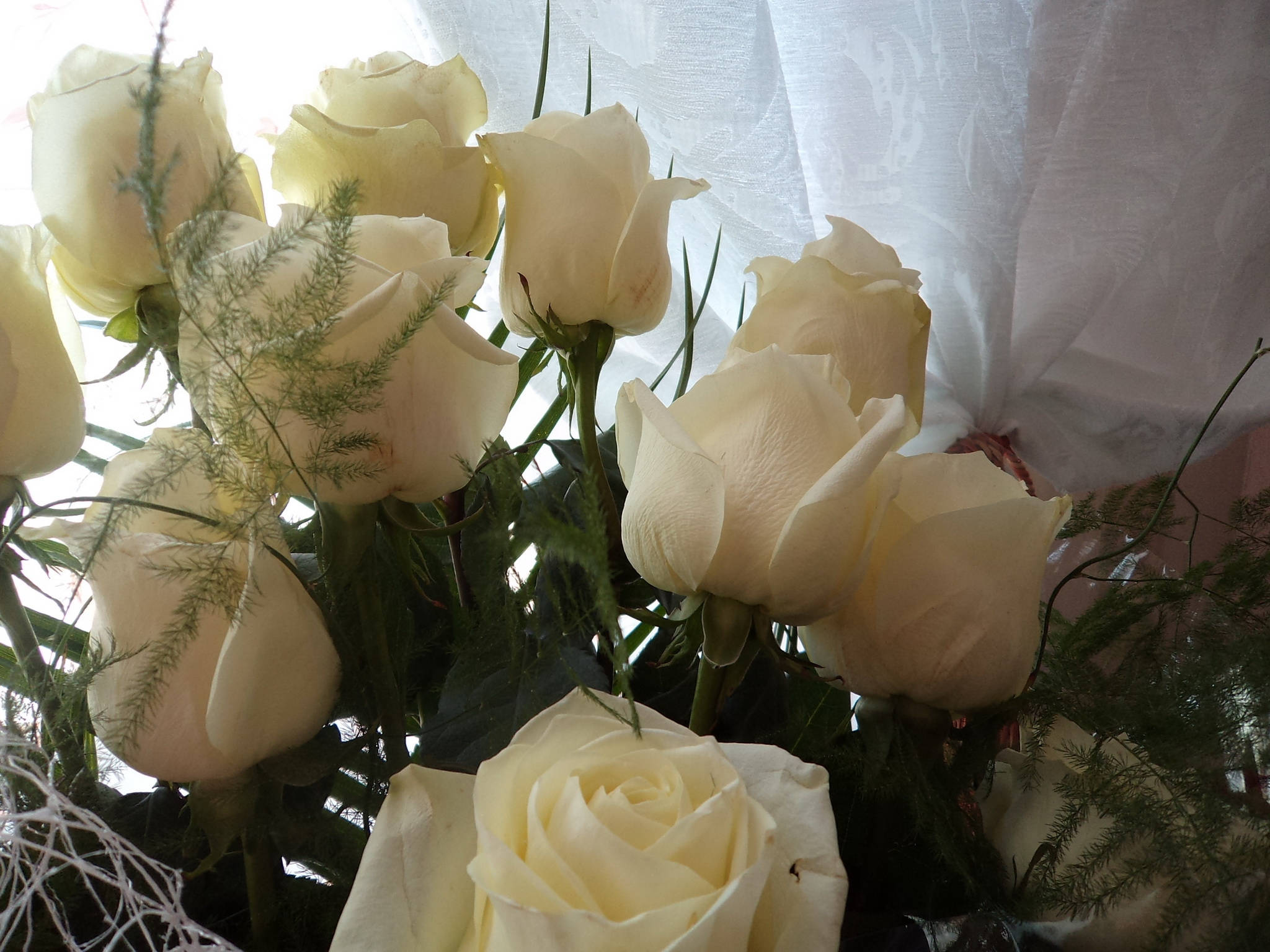 Isang palumpon ng mga puting rosas Wallpaper