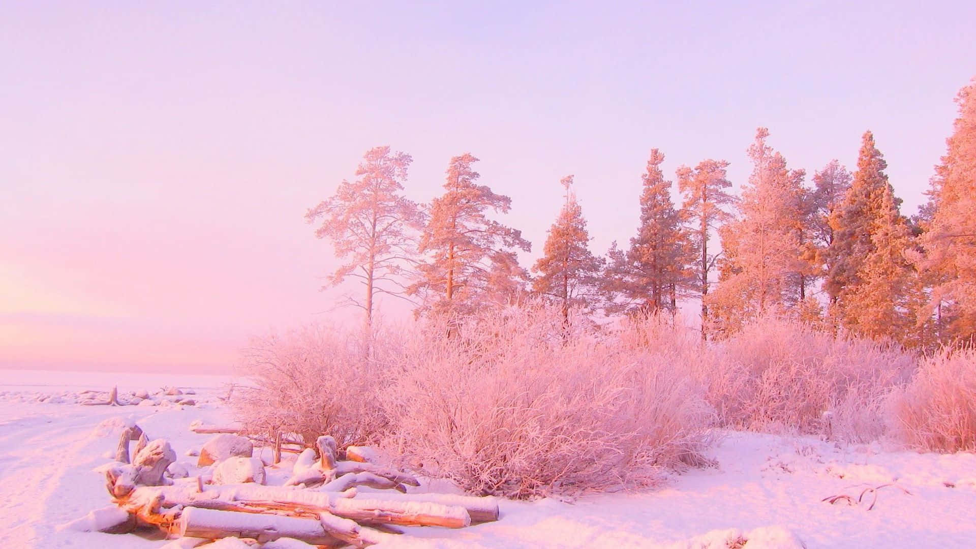 Isang Pangarap na Banayad na Pink na Aesthetic Wallpaper