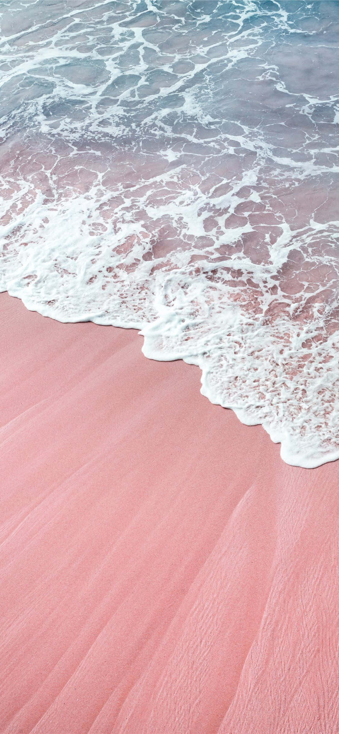 Isang Pink Aesthetic iPhone na may Colorful Flower Arrangement Wallpaper
