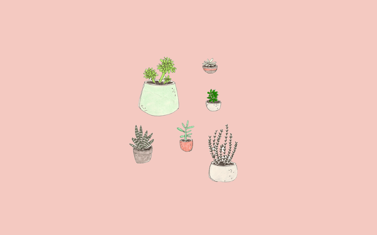 isang pink na background na may maraming halaman sa mga paso Wallpaper