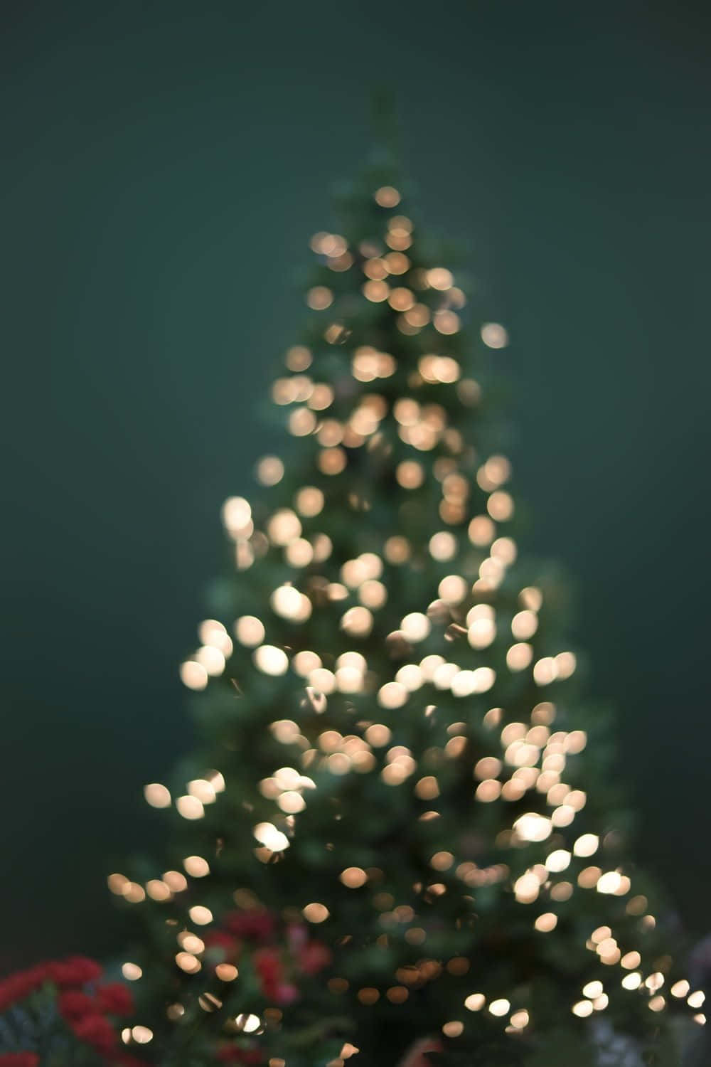 isang puno ng pasko na may mga ilaw Wallpaper