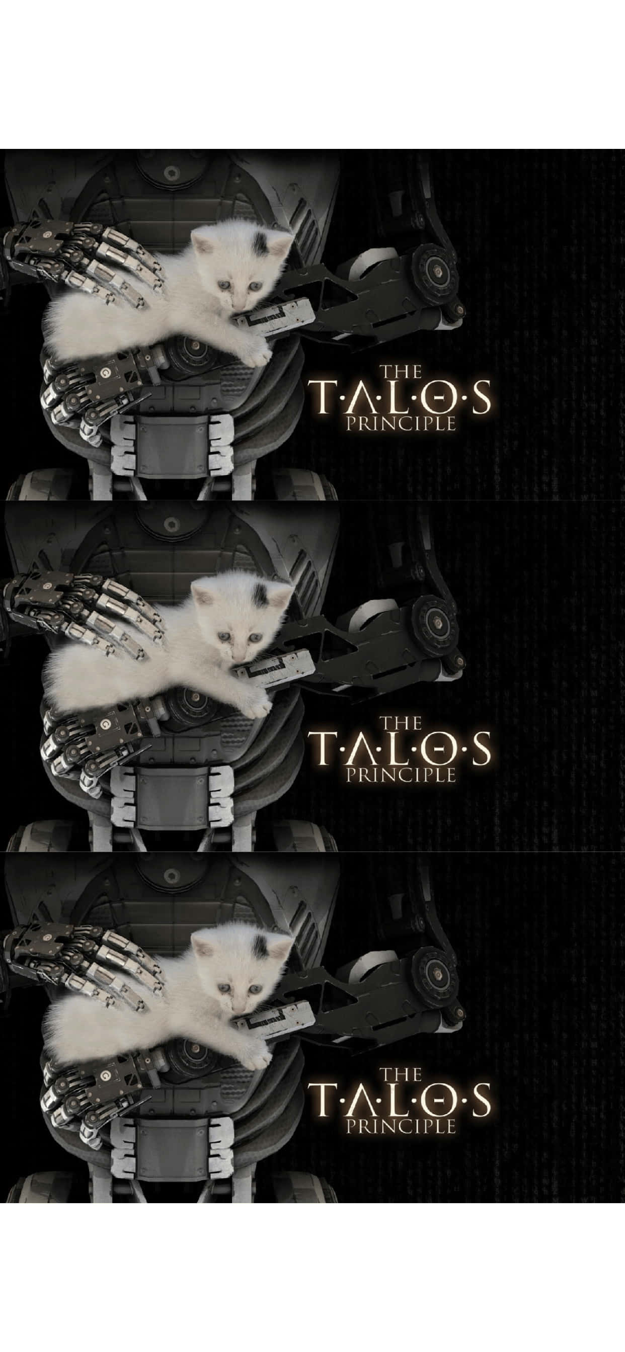 isang pusa ang nakaupo sa isang robot Wallpaper