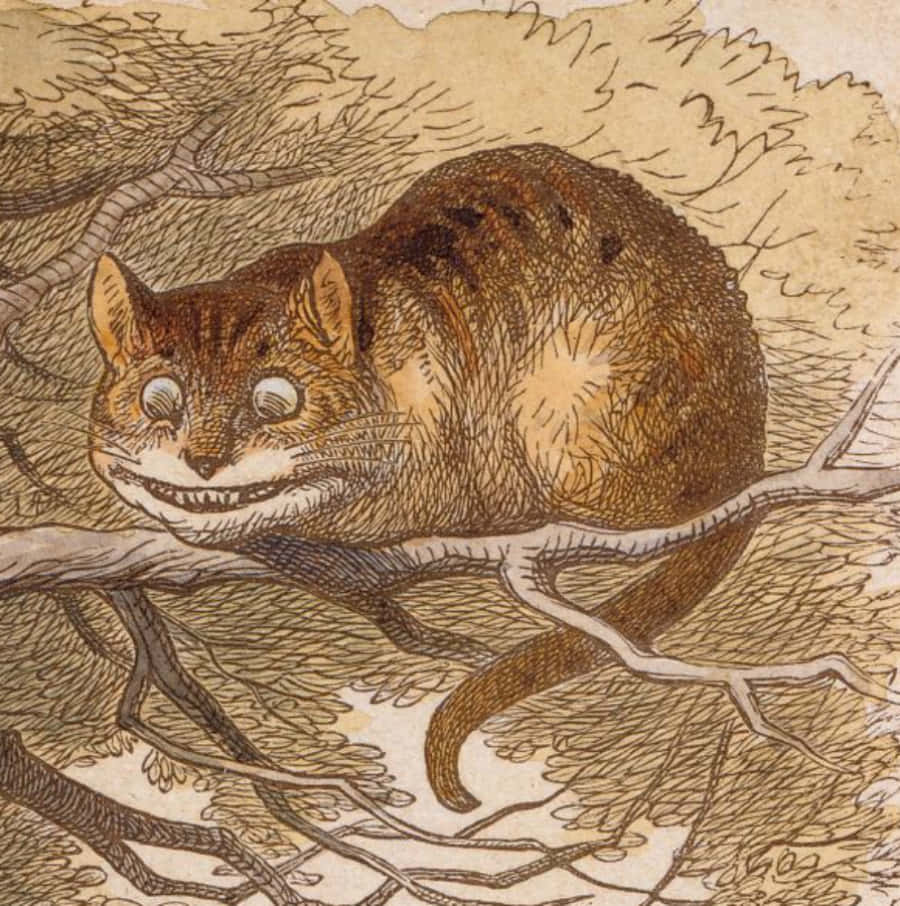 isang pusa na nakaupo sa sanga ng puno Wallpaper