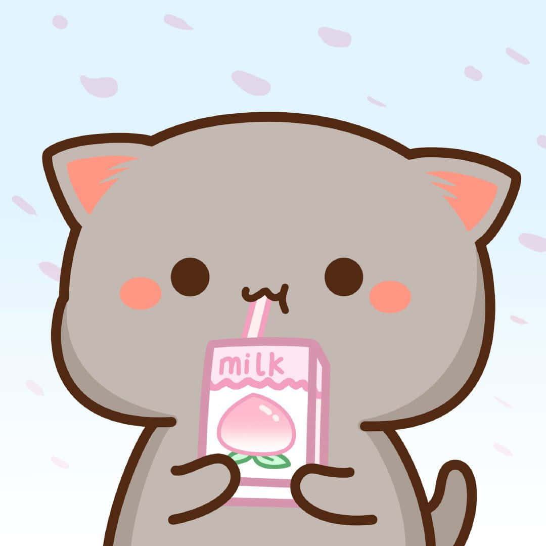 isang pusa na umiinom ng gatas mula sa karton Wallpaper