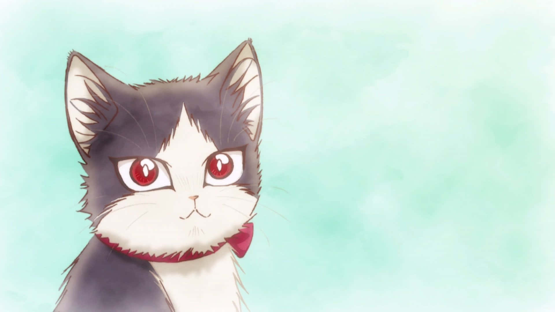 Isang Pusa sa Bahay na Nag-e-enjoy ng Oras kasama ang Isang Binatà na Lalaki sa Isang Kwarto Wallpaper