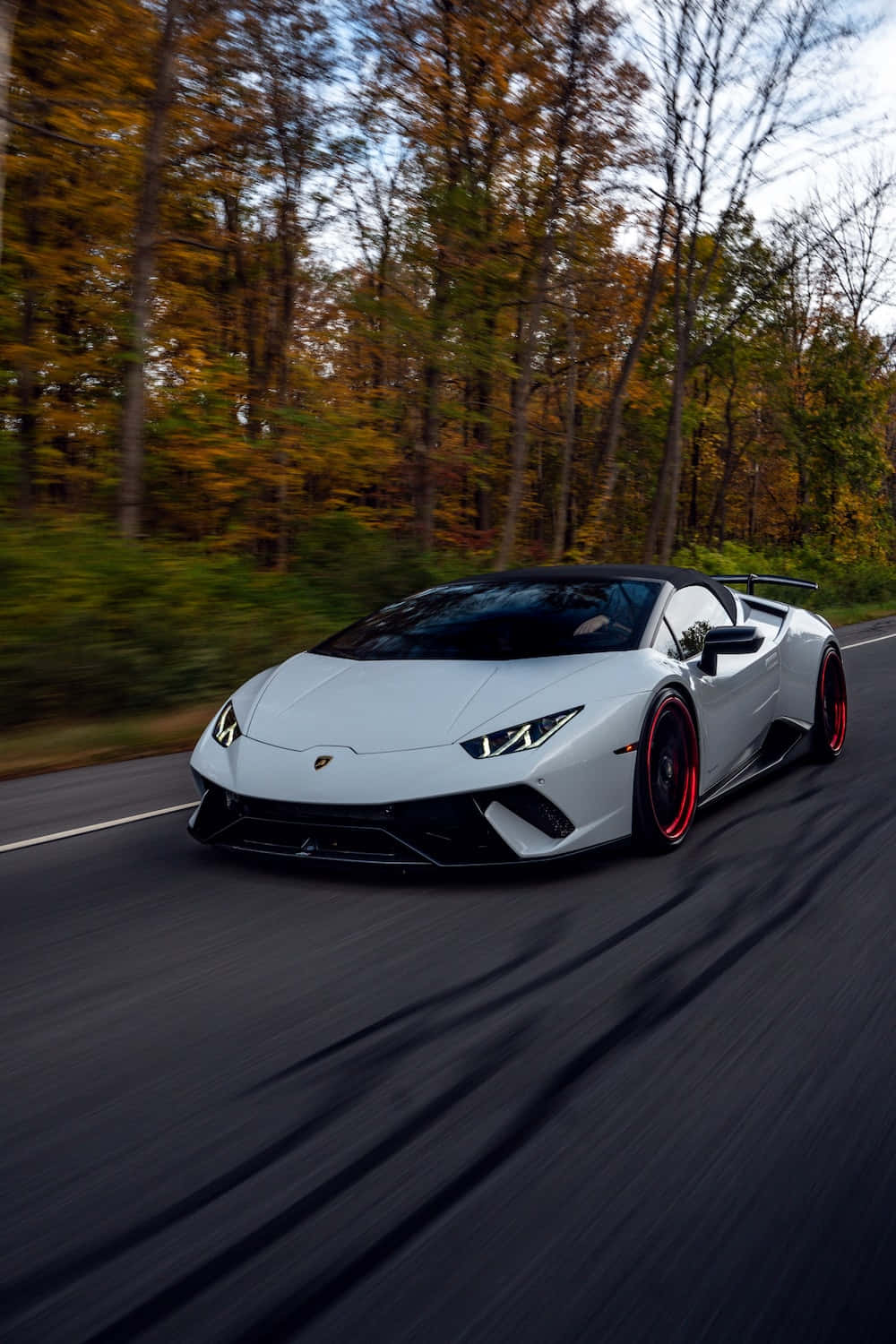 isang puting sports car na nagmamaneho sa kalsada Wallpaper