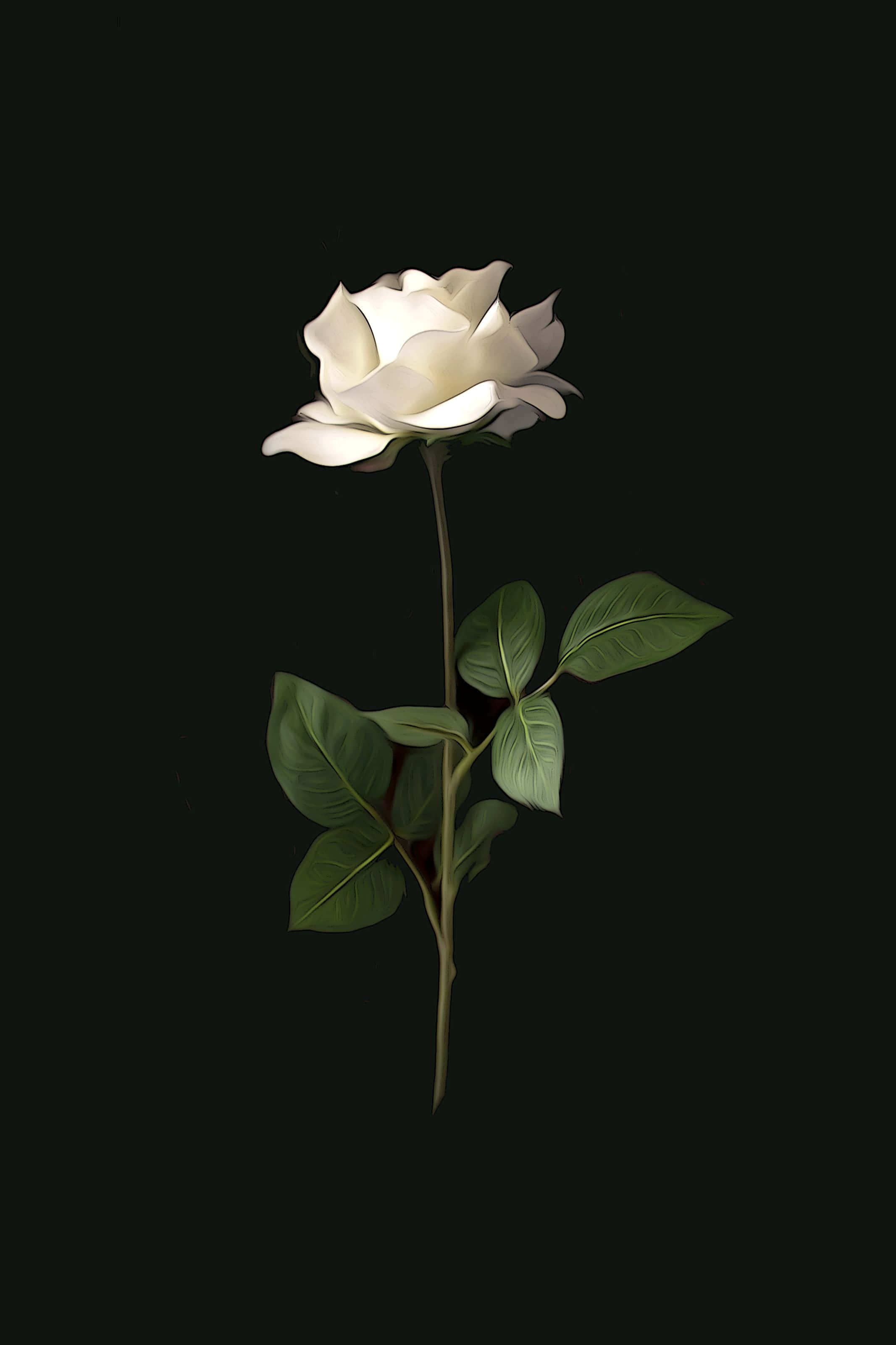Isang romantikong estetika na may magandang bulaklak Wallpaper