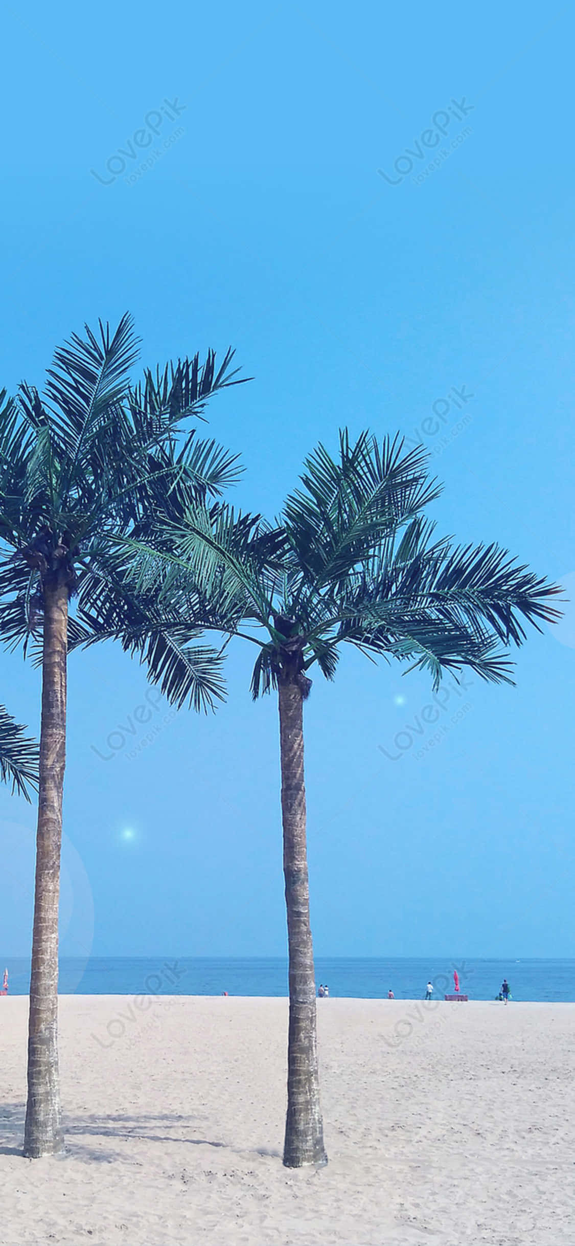 Isang scenic view na kuha sa pamamagitan ng iPhone X sa isang sunny beach day. Wallpaper