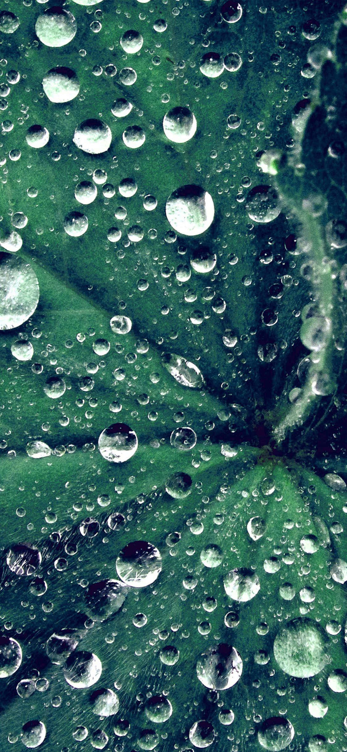 Isang solong water droplet na kumikinang Wallpaper