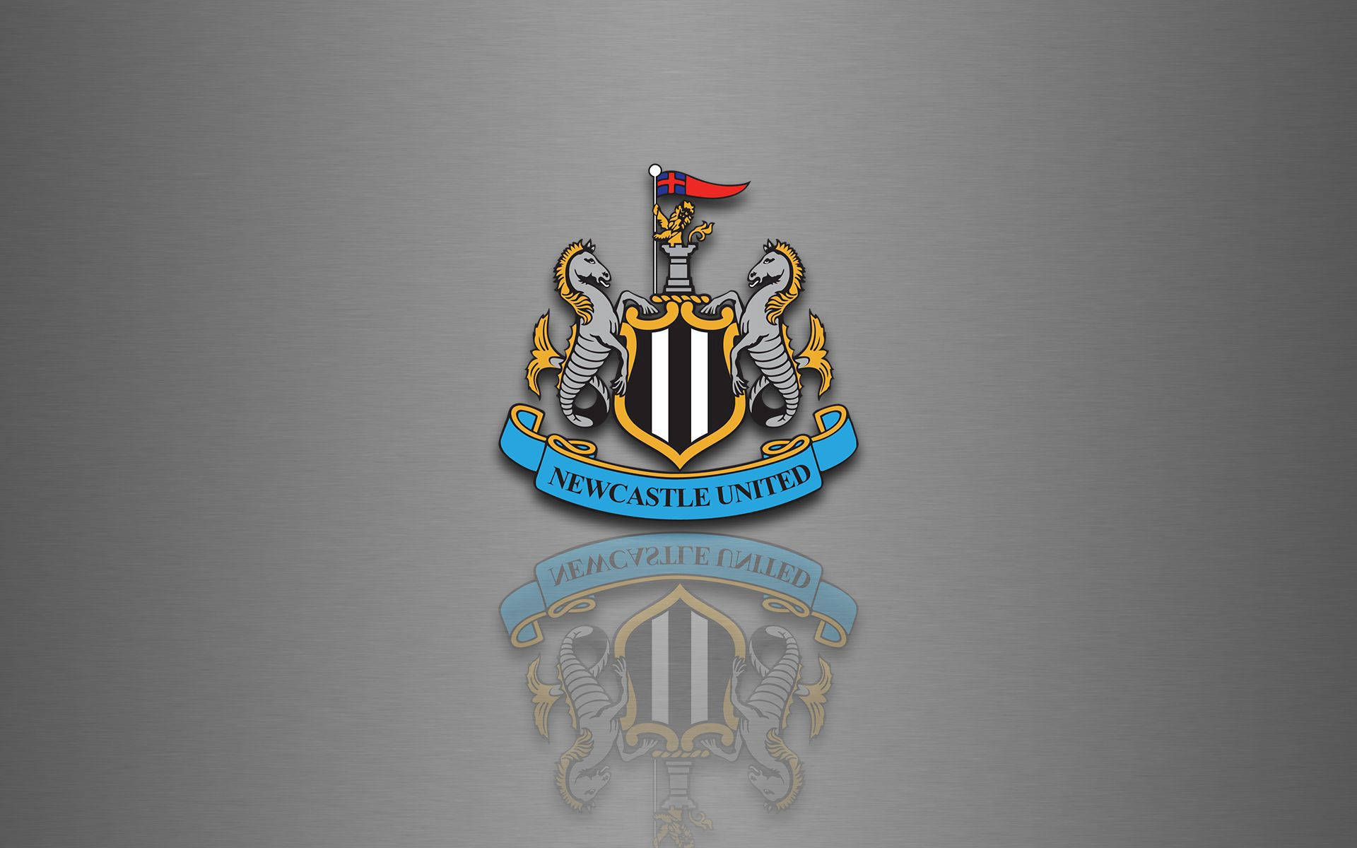 Isang Sumisigaw na Karamihan ang Nanonood Habang Pumapasok ang Newcastle United F.C. sa Field! Wallpaper