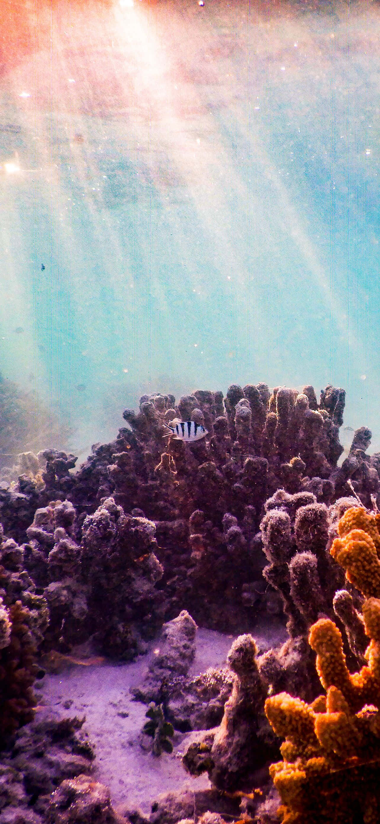 Isang tanawin ng bundok na nakatanaw sa isang tahimik na lawa Wallpaper