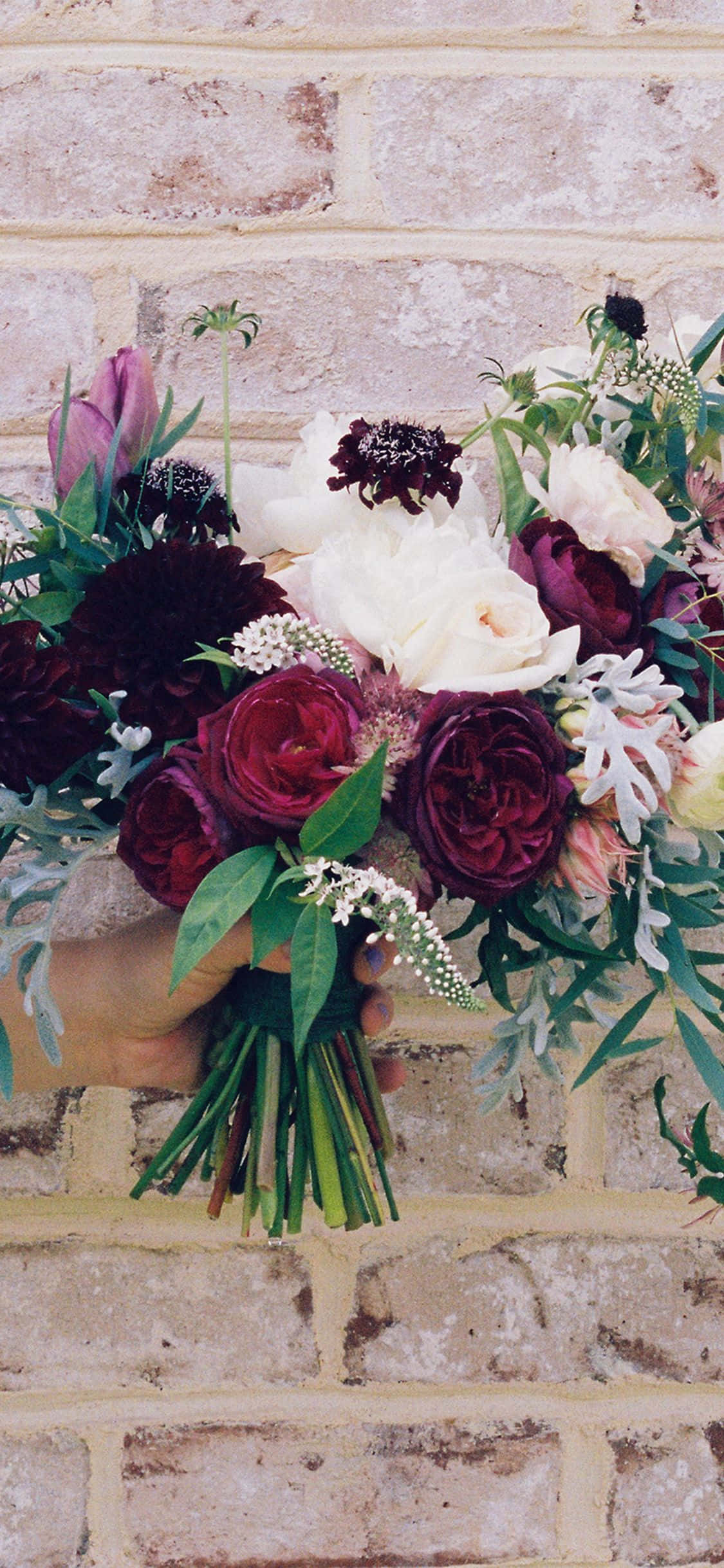 isang taong may hawak na palumpon ng mga bulaklak Wallpaper