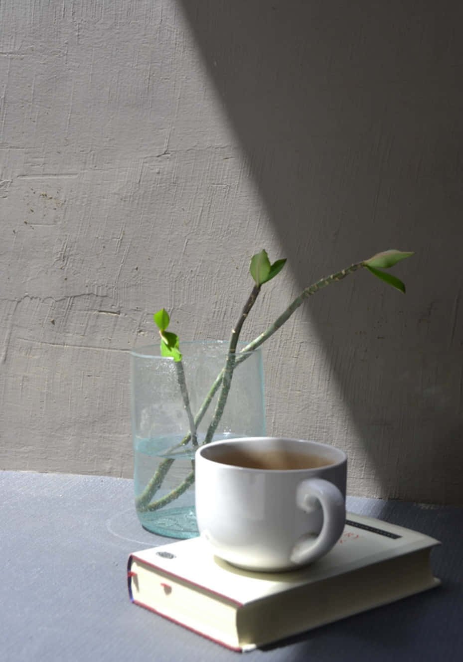 isang tasa ng kape at isang libro sa mesa Wallpaper
