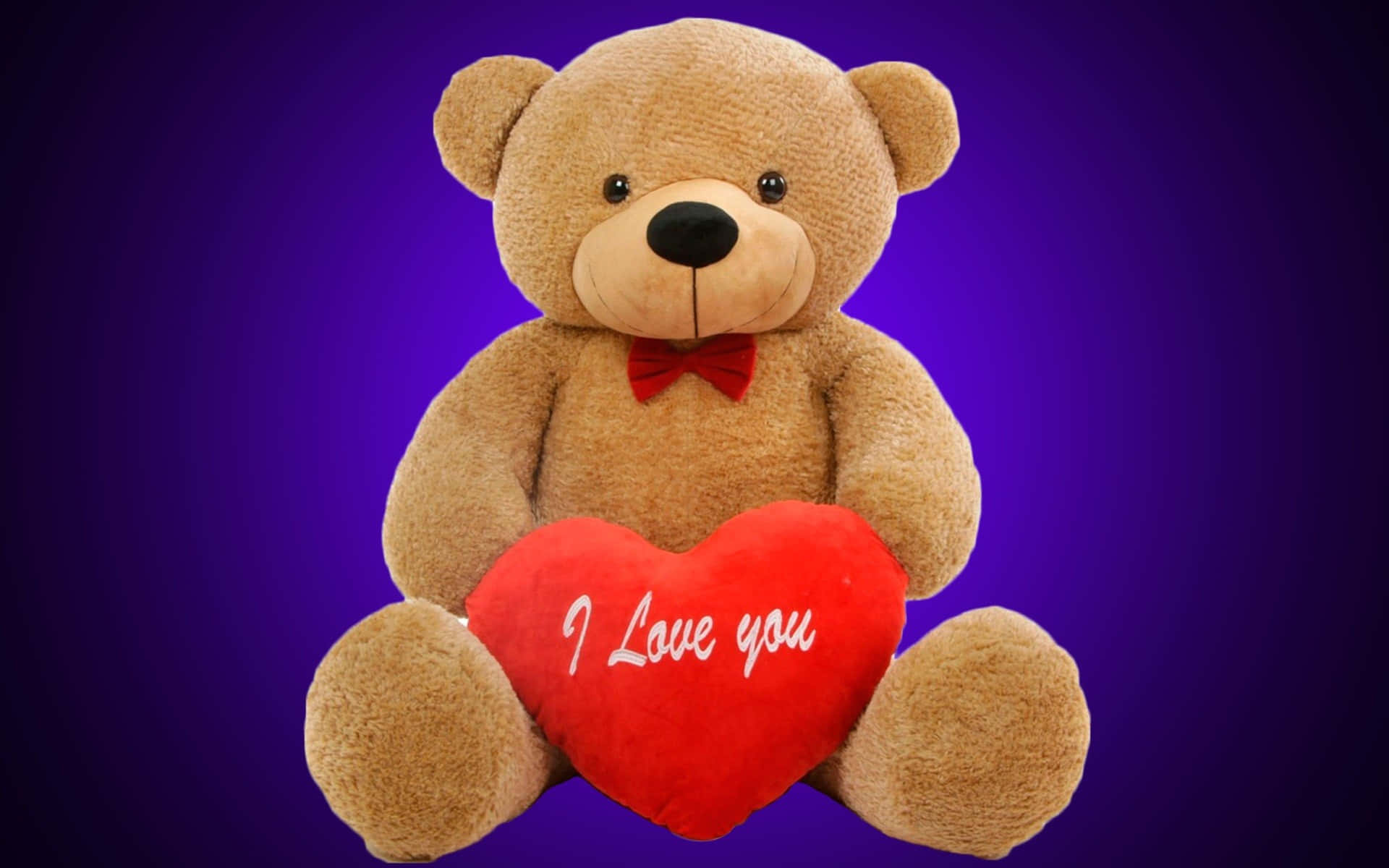 isang teddy bear na may hawak na pulang puso sa lilang background Wallpaper