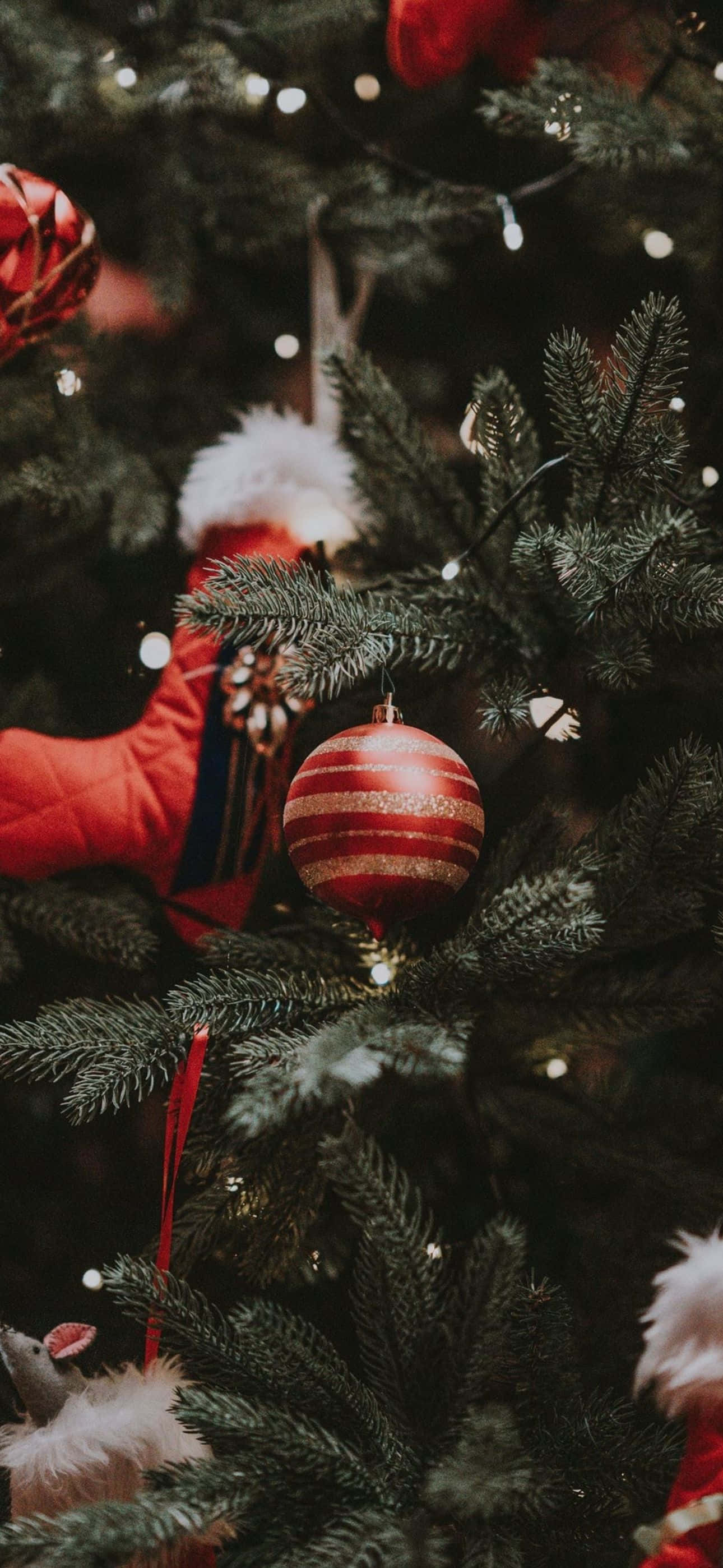 Iselebra ang panahon ng Pasko ngayong taon gamit itong maganda at pistang iPhone background. Wallpaper