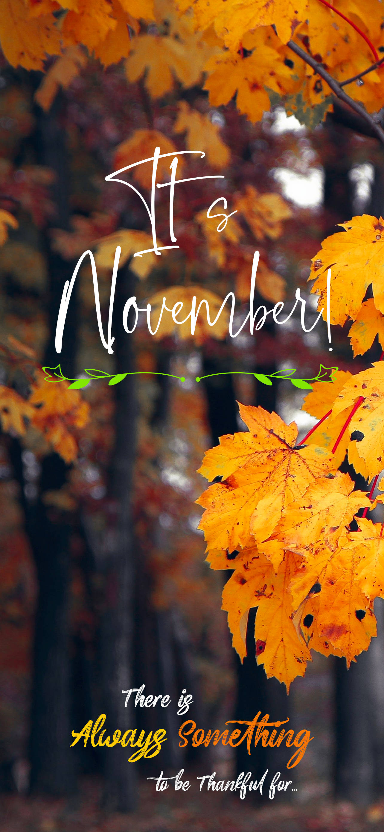 Ito ay Nobyembre Autumn Trees Quote Wallpaper