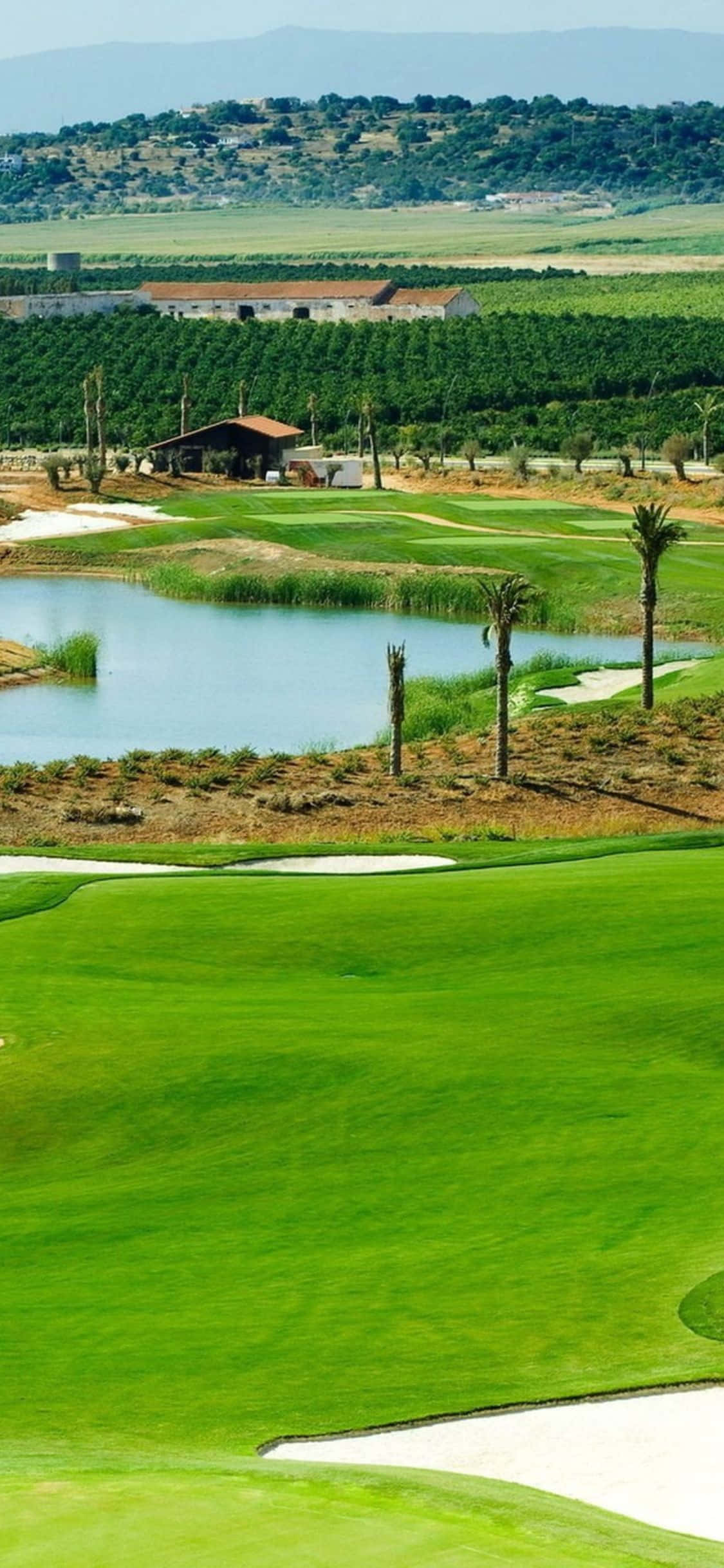 "It's tee-time! Enjoy your golf game on the lush fairways of the golf course on your iPhone X" Wallpaper