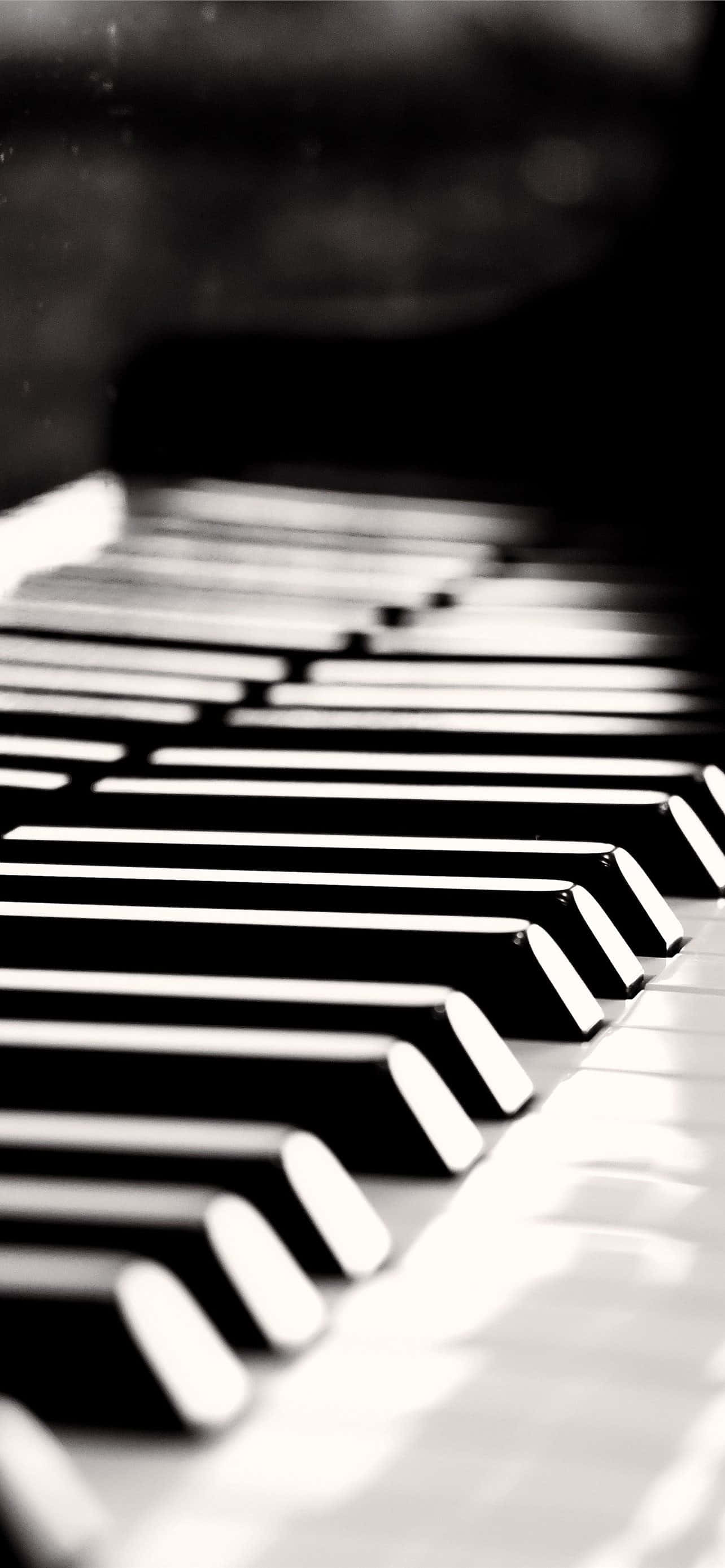 Itim at Puti na Larawan ng Piano Wallpaper