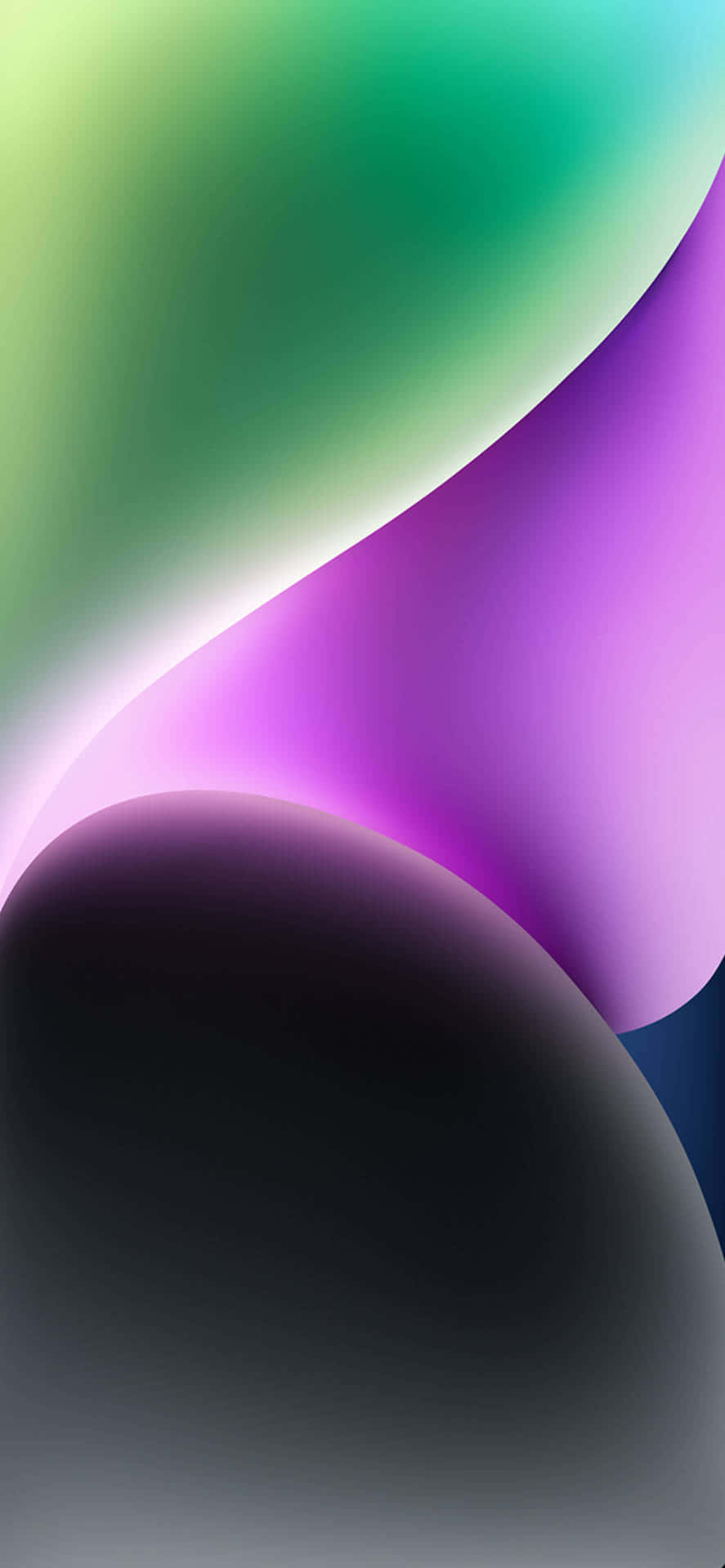 Itim na Oval na Hugis Wallpaper