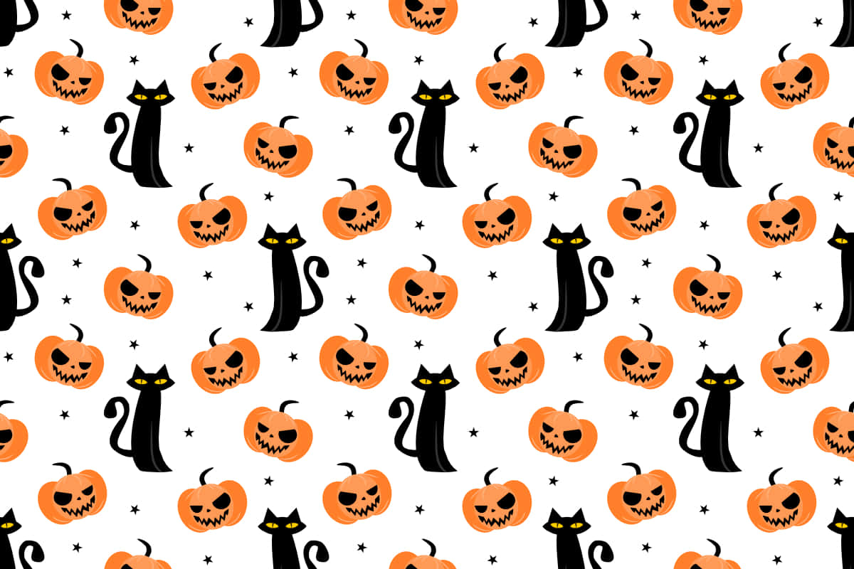 Itim na Pusa, ang Purrrpektong Alaga Wallpaper