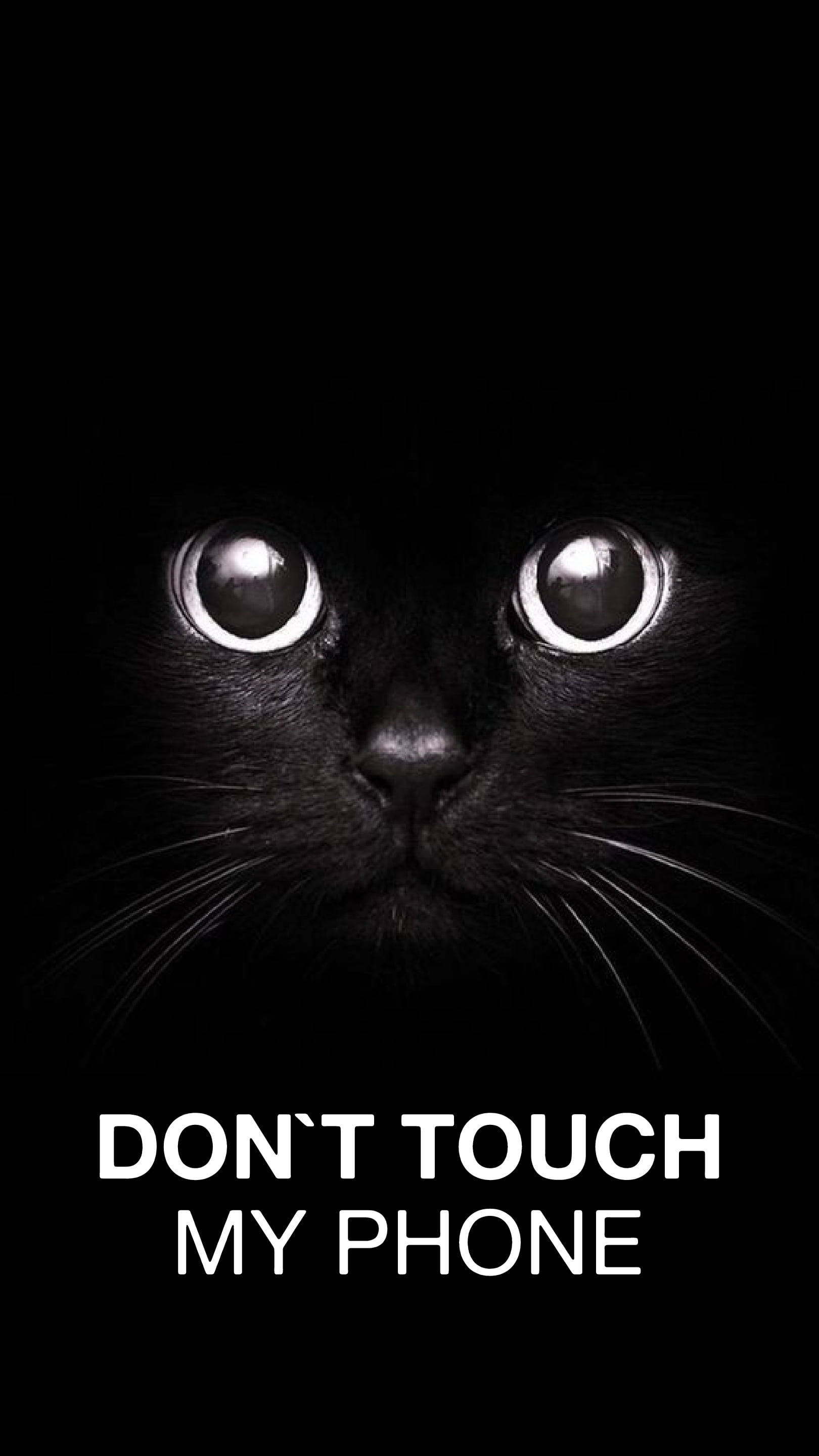 Itim na Pusa Nakakatawa Layuan Mo ang Aking Telepono Wallpaper