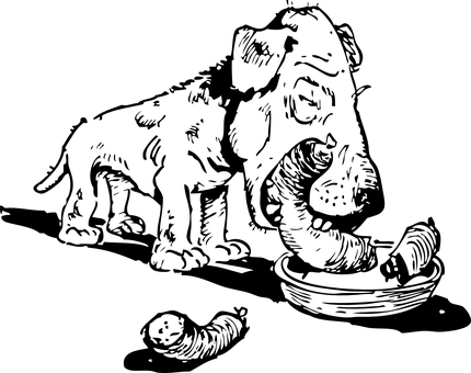 Itim na Screen na Placeholder Wallpaper