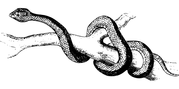 Itim na Screen na Placeholder Wallpaper