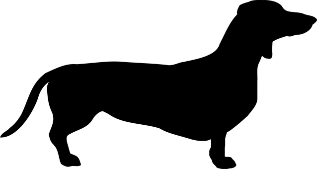 Itim na Screen Walang Nilalaman Kaugnay ng Aso Wallpaper