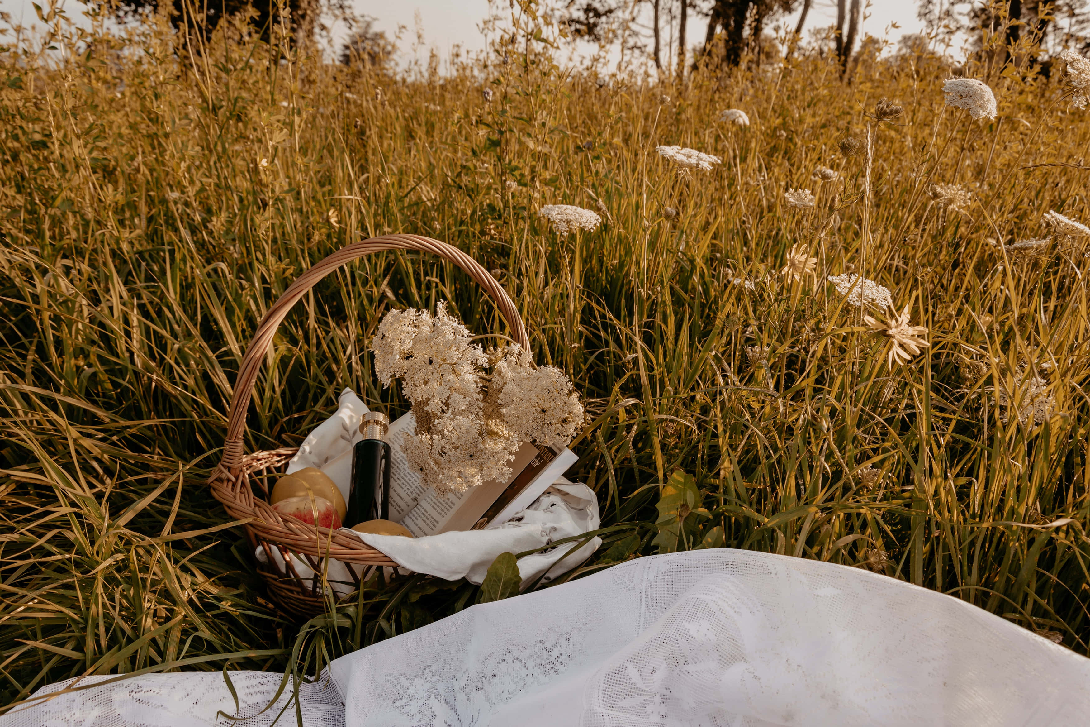 Kaakit-akit na Cottagecore Aesthetic Background Wallpaper