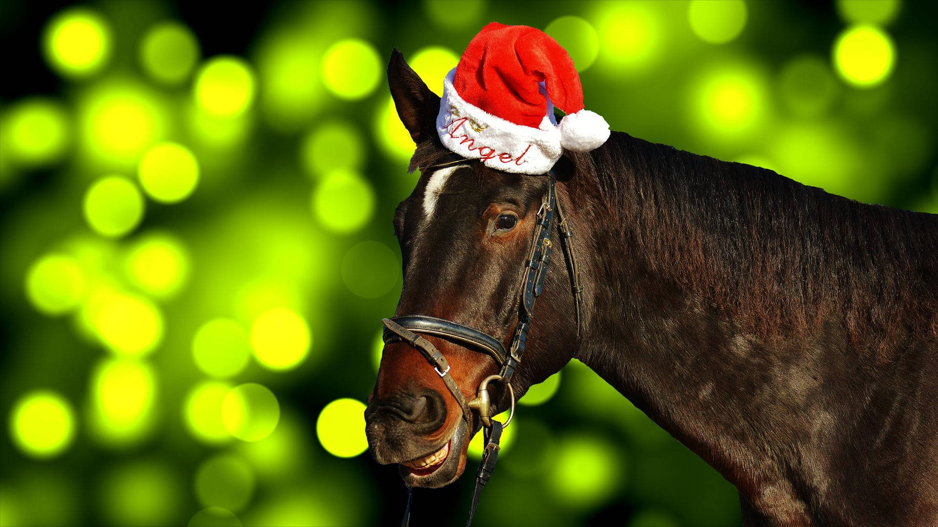 Kaakit-akit na Kabayo na may Sombrero ni Santa para sa Pasko Wallpaper