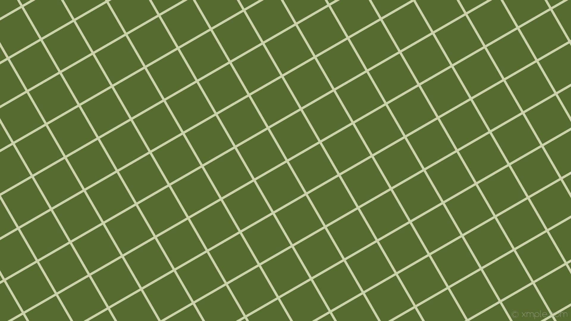 Kaakit-akit na Madilim na Berdeng Kagubatan na Background Wallpaper