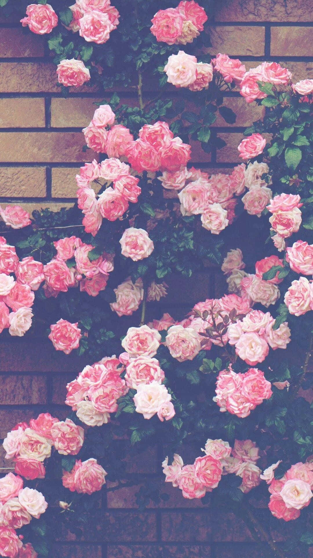 Kaakit-akit na mga Bulaklak ng Tagsibol Wallpaper