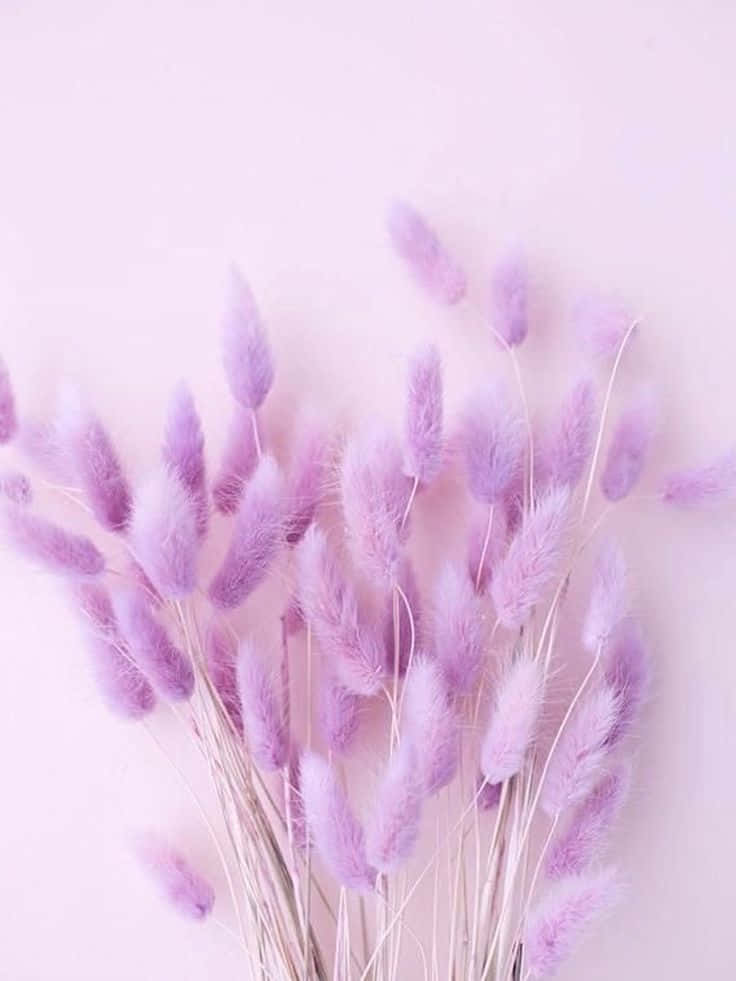 Kaakit-akit na Pastel Purple Aesthetic na Background Wallpaper