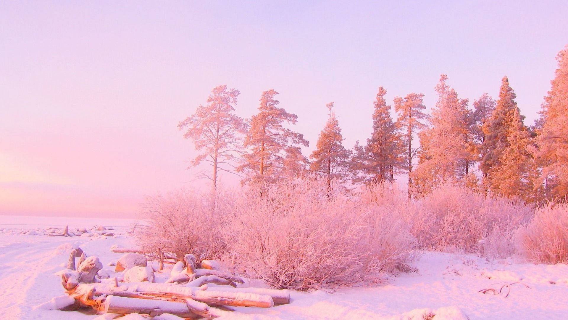 Kagandahang Pink na Kagubatan Wallpaper